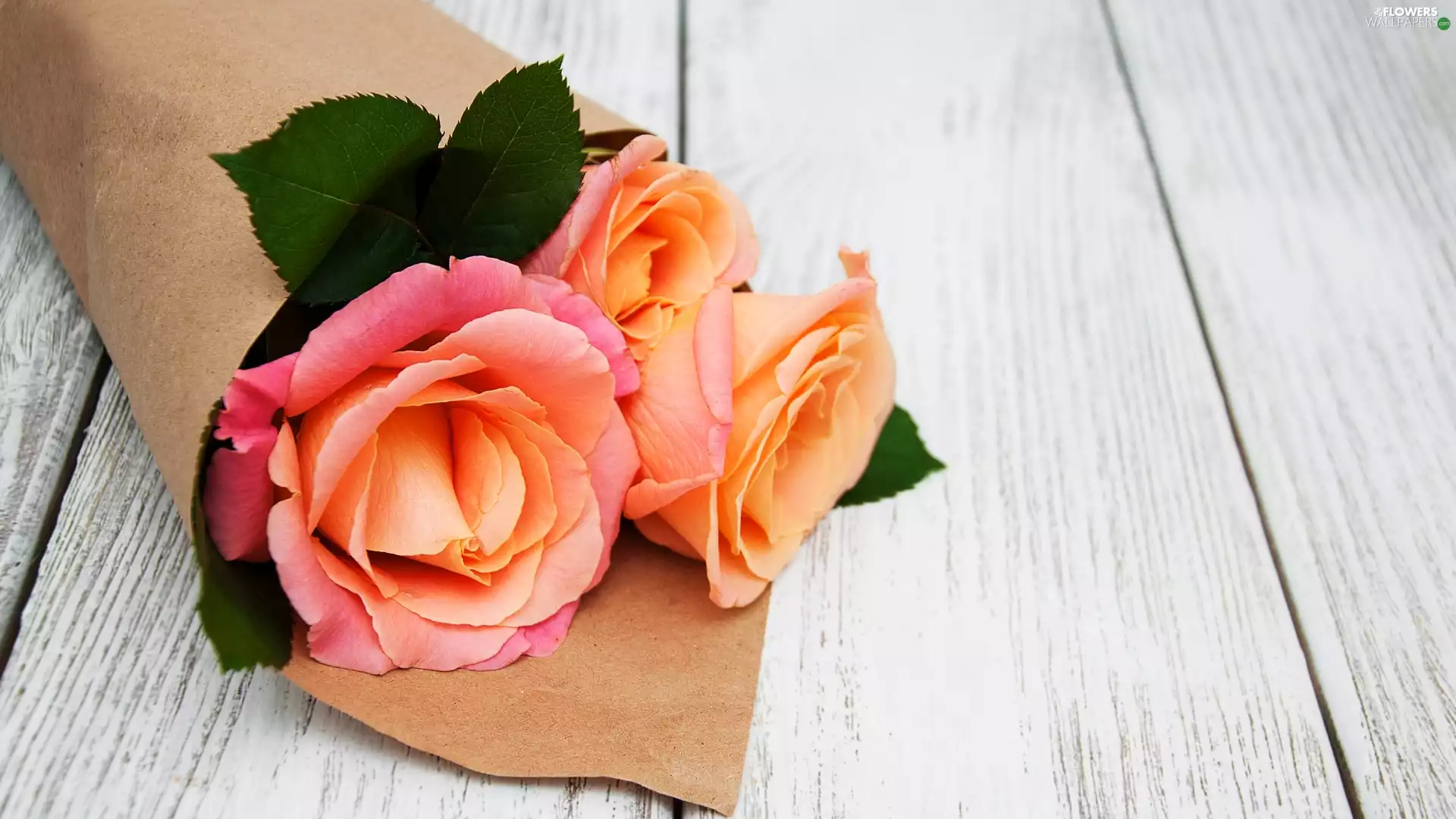 paper, boarding, roses, Leaf, Three