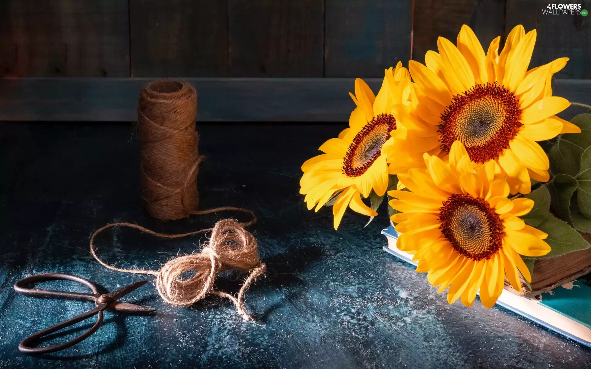twine, decorative Sunflowers, Loop, Books, Flowers, scissors, boarding