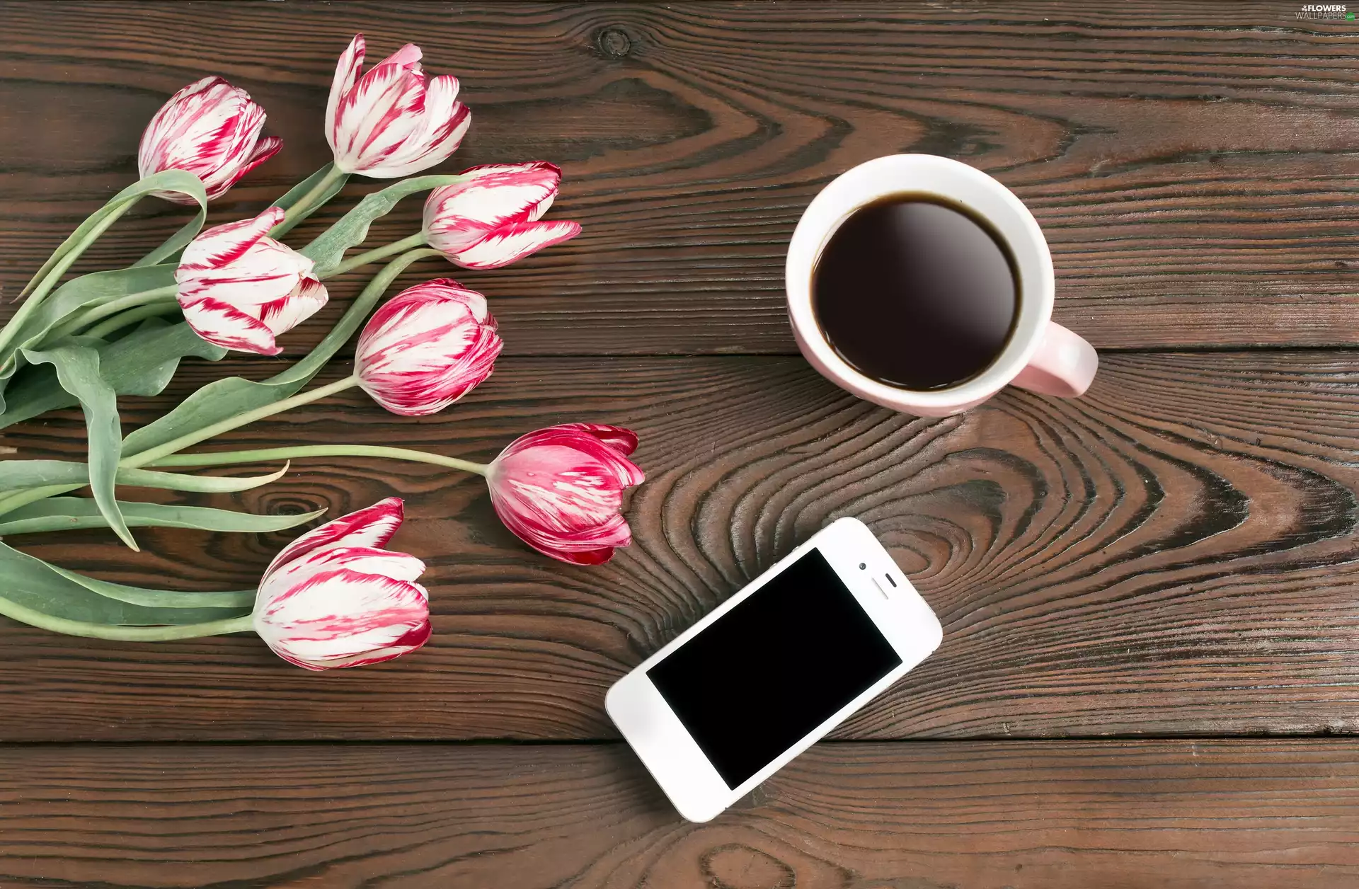 Telephone, boarding, Tulips, coffee, composition