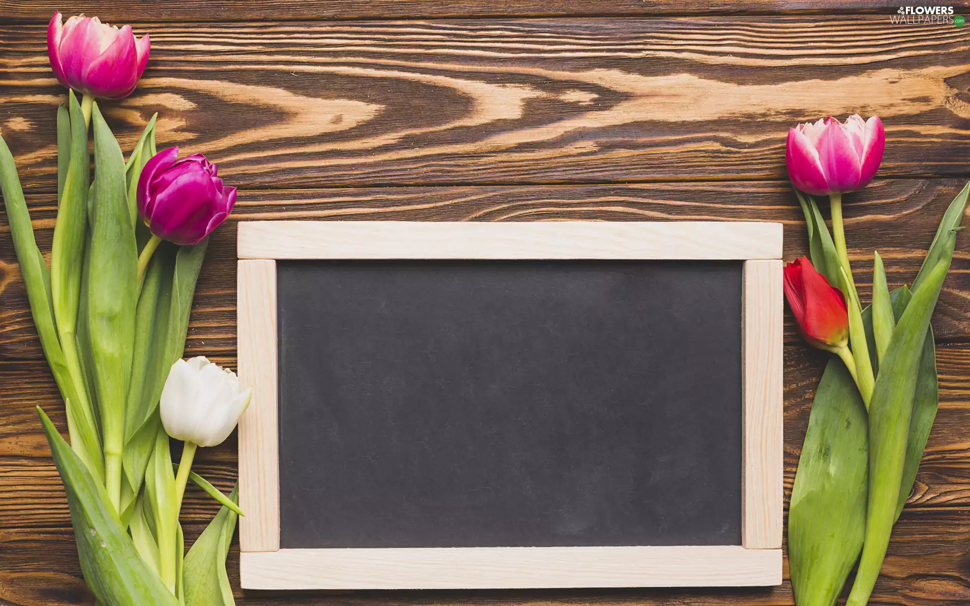 plate, boarding, Tulips, color, Flowers