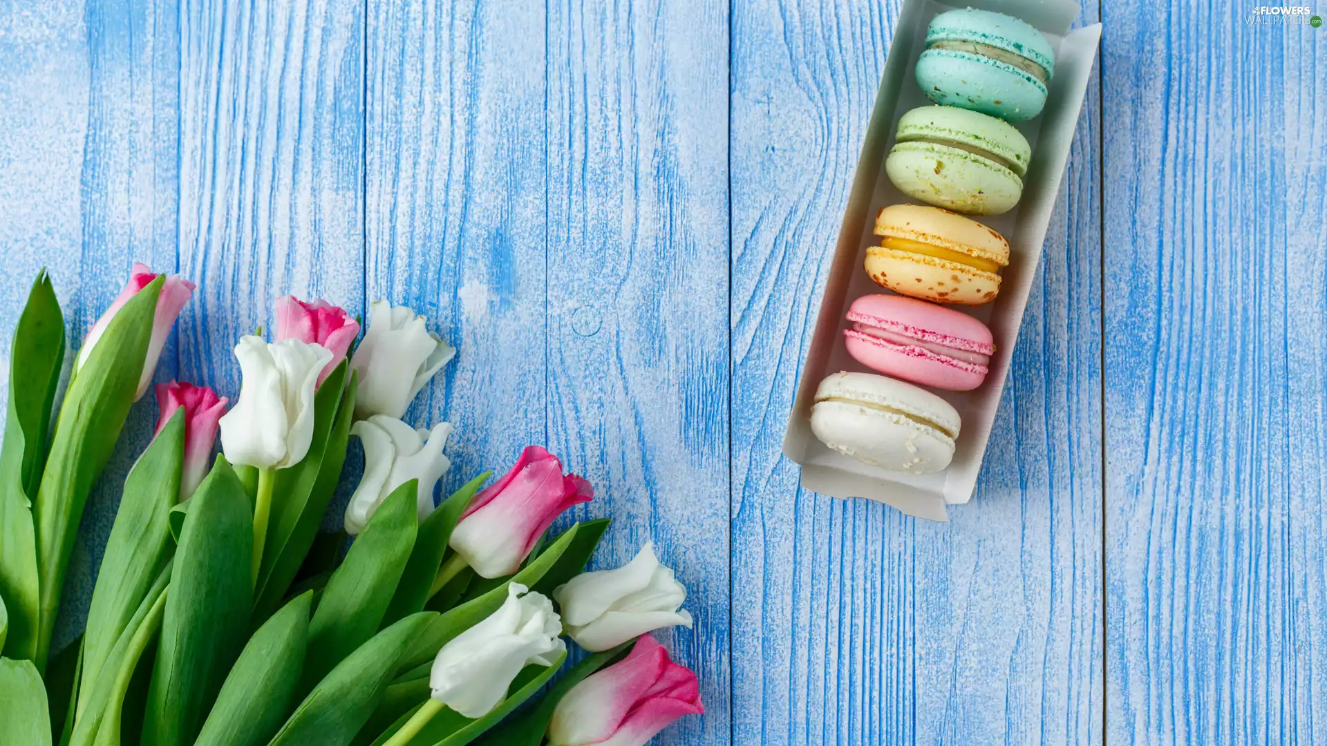 Macaroons, boarding, Tulips, cookies, Flowers