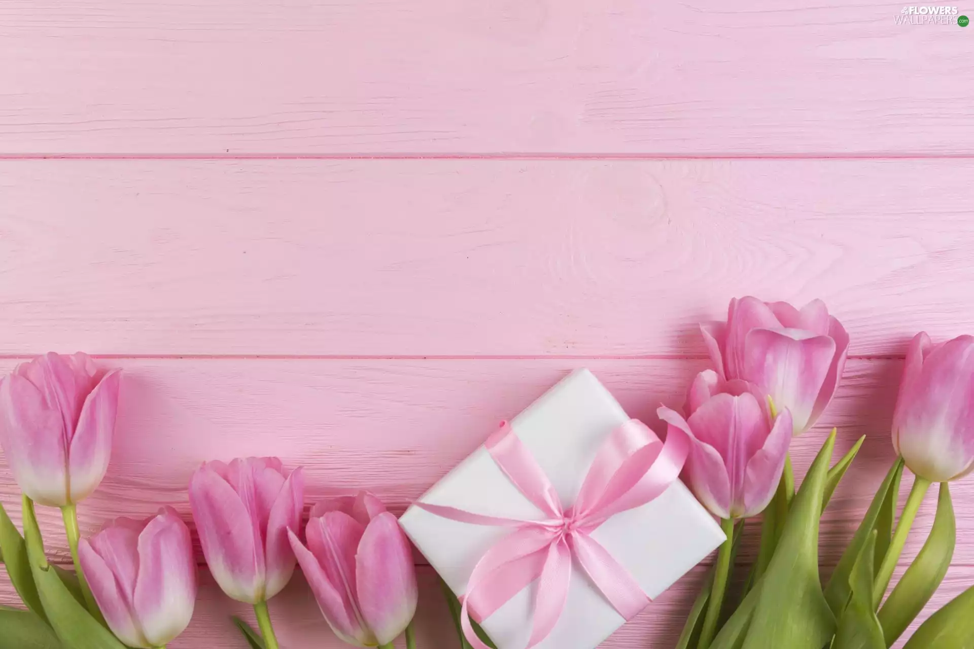 Pink, boarding, Tulips, Present, Flowers