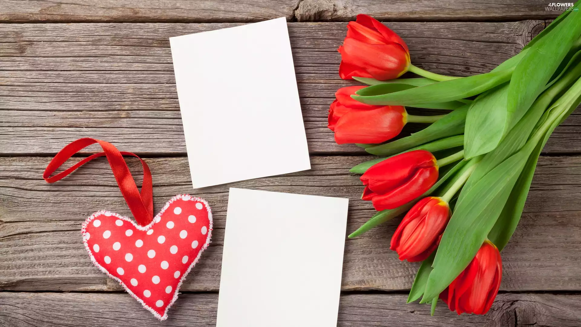 White, Red, Heart, boarding, Cards, Tulips