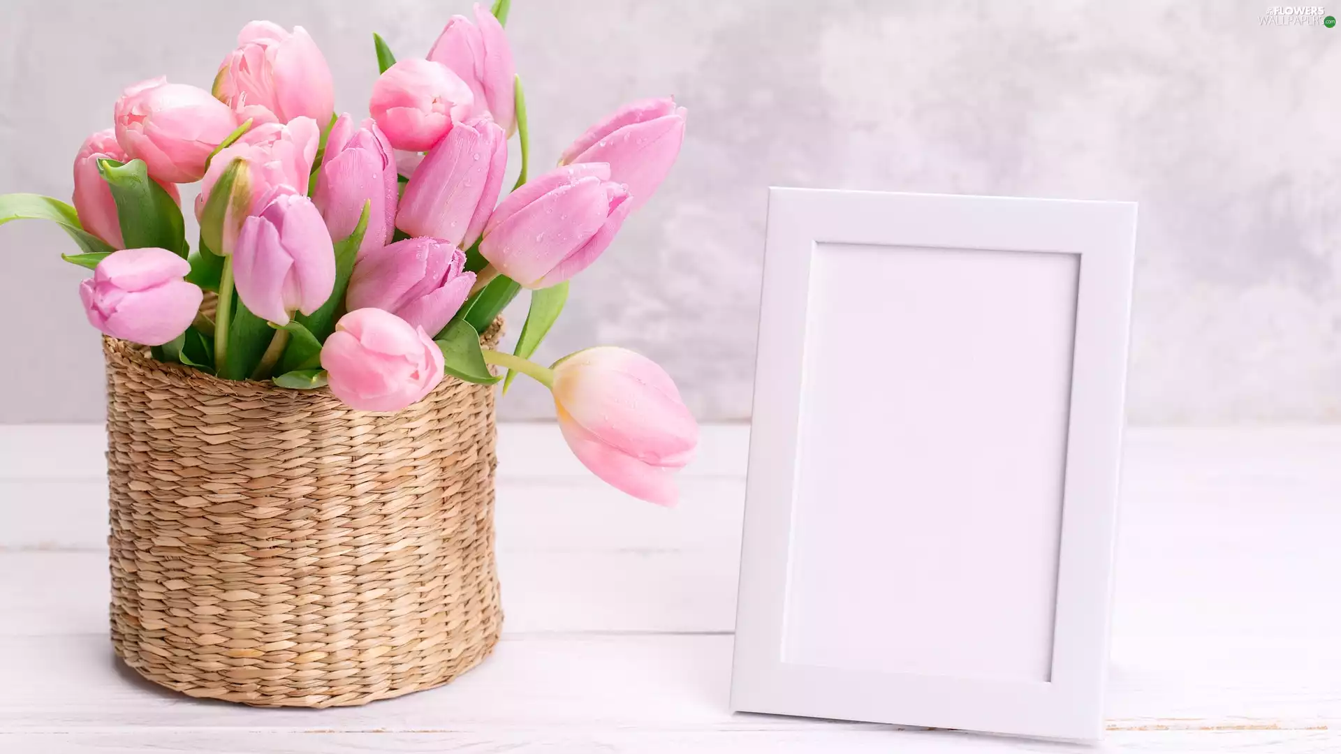 frame, boarding, Tulips, basket, Pink