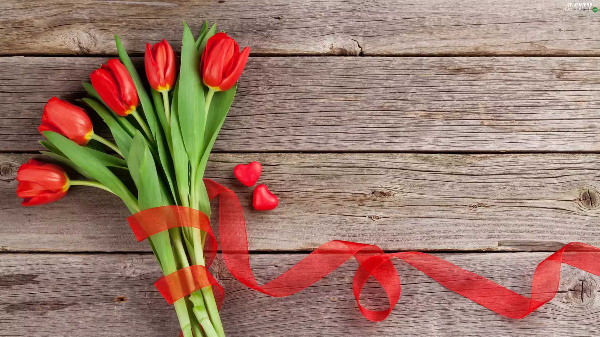 hearts, Red, ribbon, boarding, love, Tulips