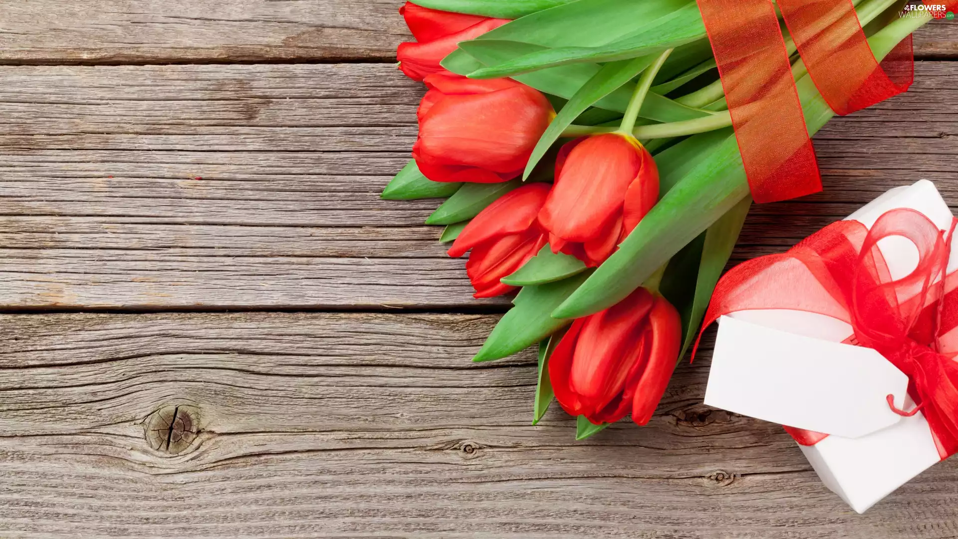 Present, Red, scribble, boarding, ribbon, Tulips