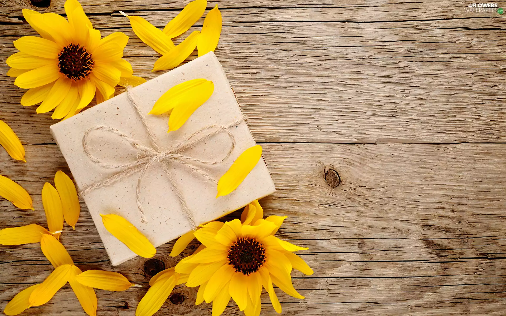 flakes, Flowers, twine, boarding, Present, decorative Sunflowers