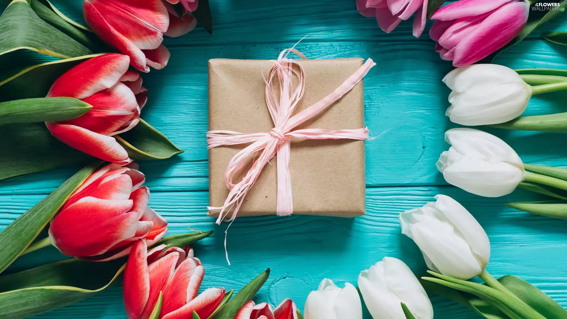 Present, boarding, White, Red, Tulips