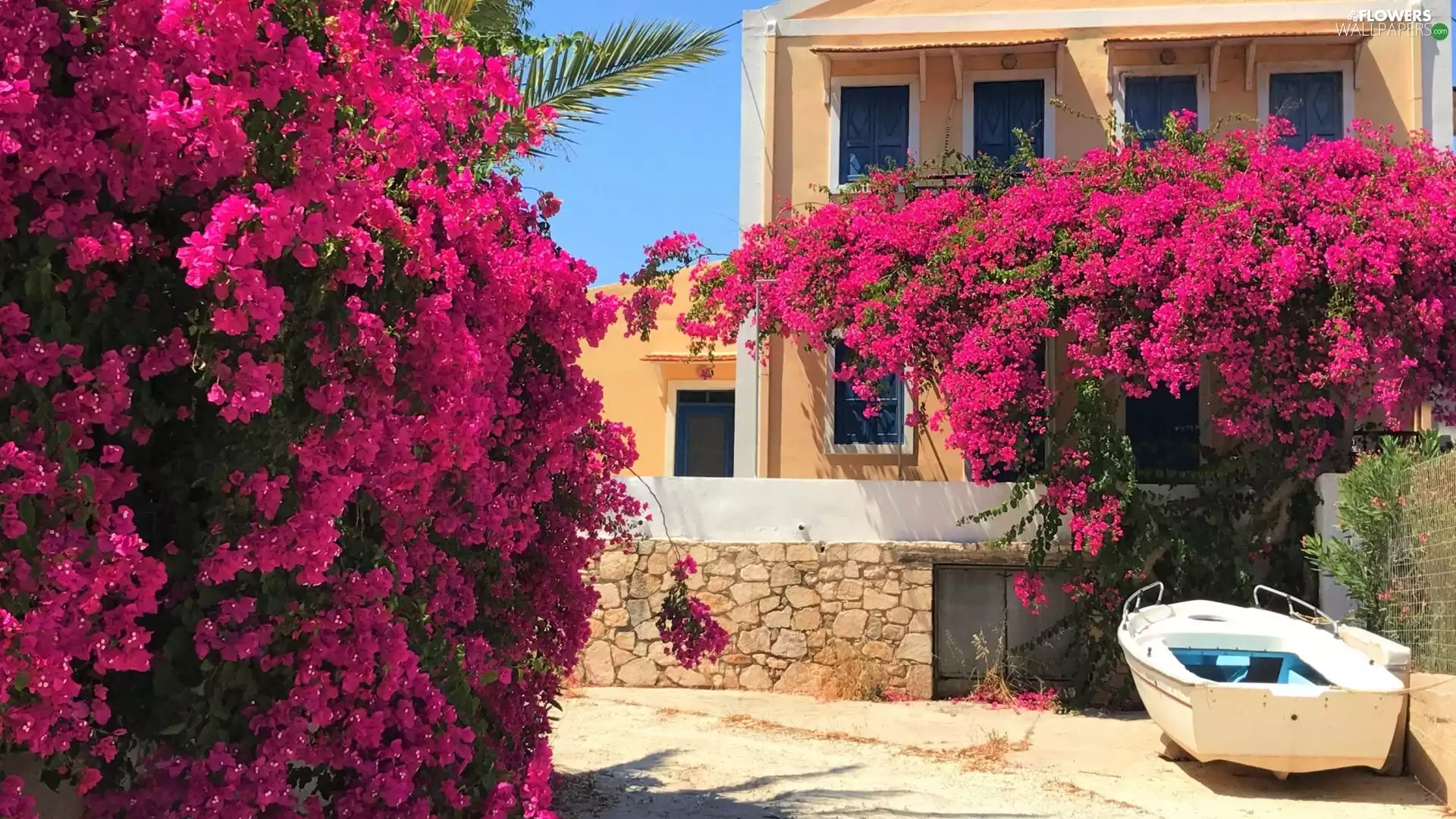 house, trees, Bougainvillea, Boat