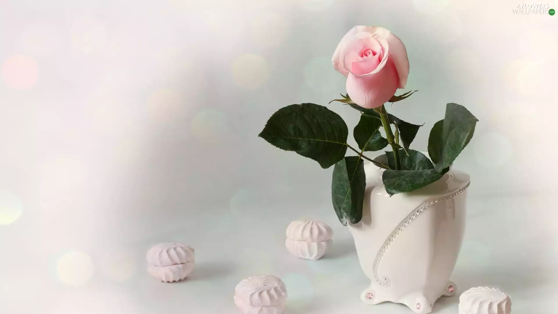 vase, Pink, decoration, Bokeh, meringues, rose