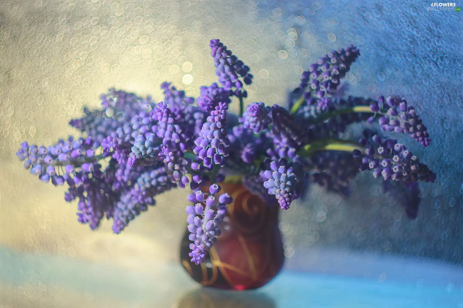 Bokeh, Muscari, vase