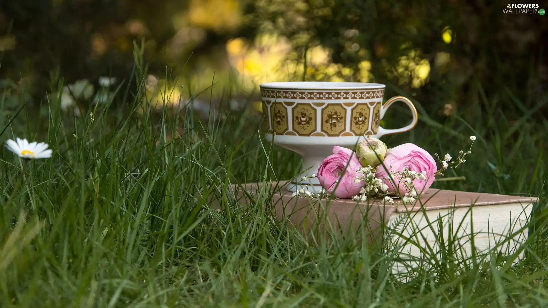 cup, Pink, glaucoma, Book