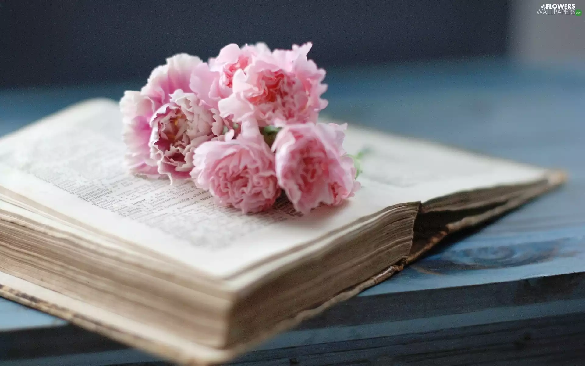 Book, bouquet, flowers