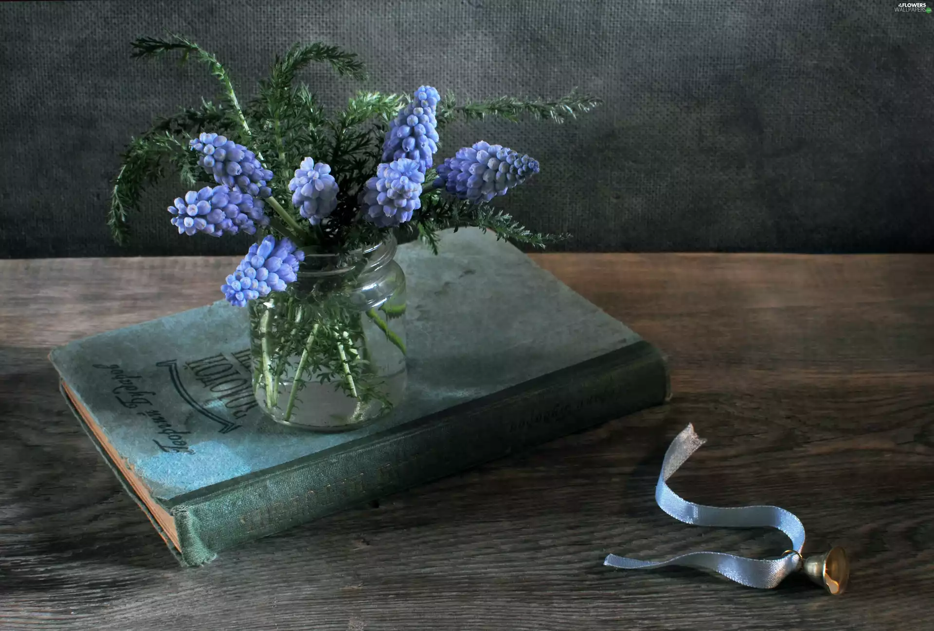 Book, composition, Muscari