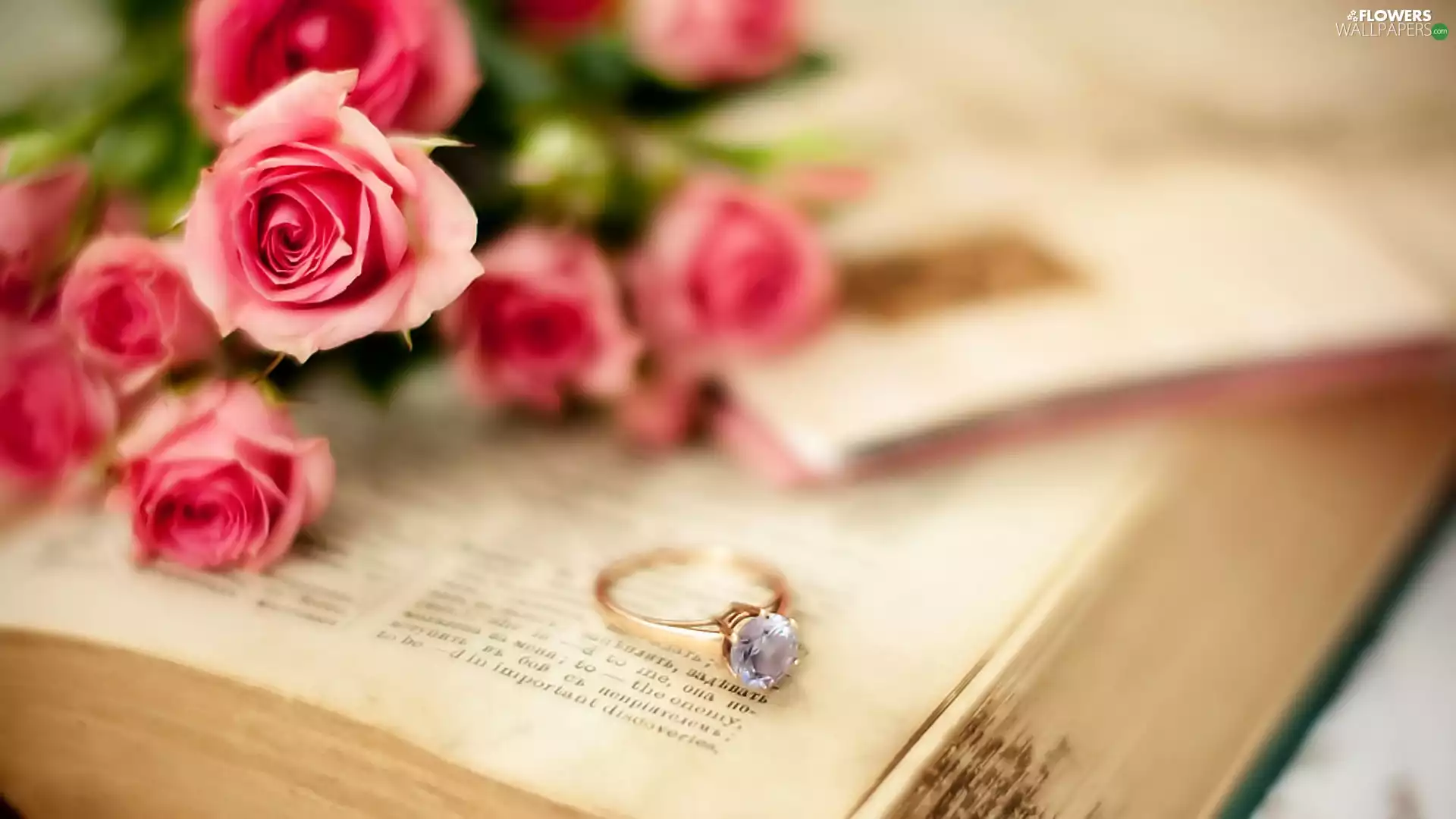 Book, roses, Ring