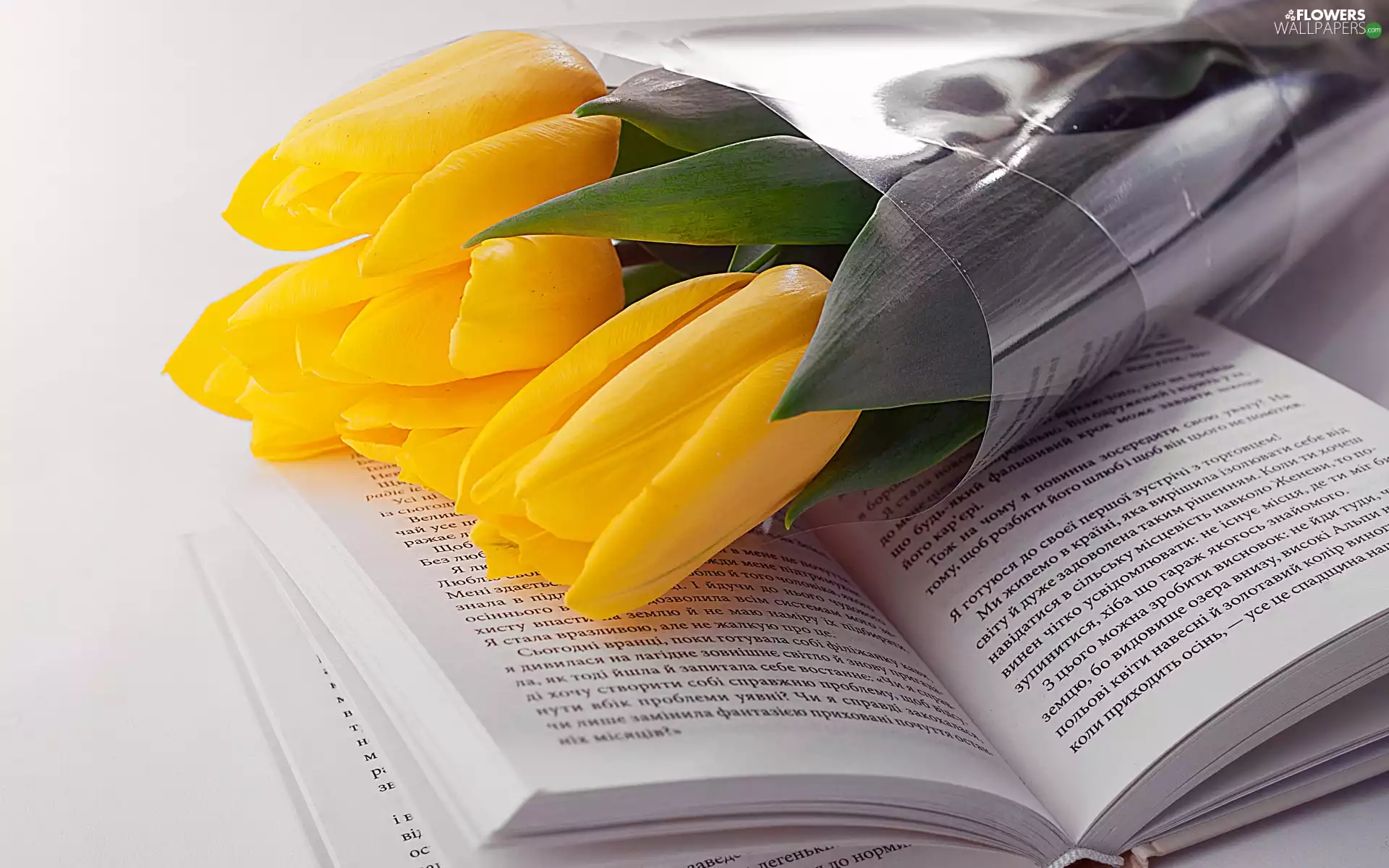 Book, Yellow, Tulips