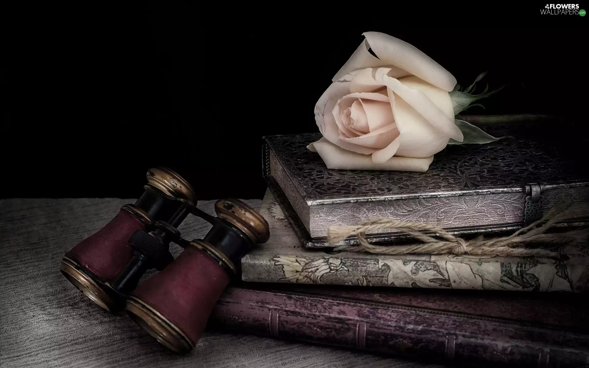 composition, rose, binoculars, Books