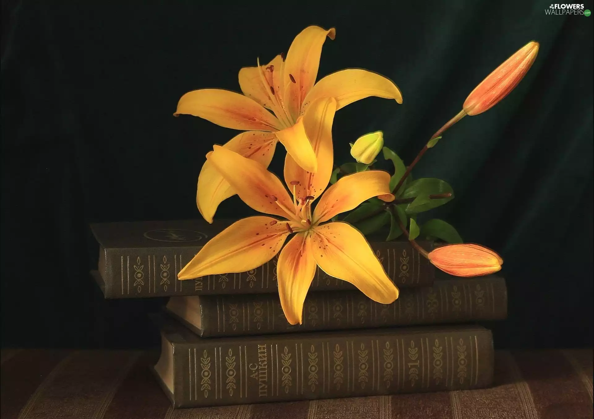 Books, Flowers, lilies
