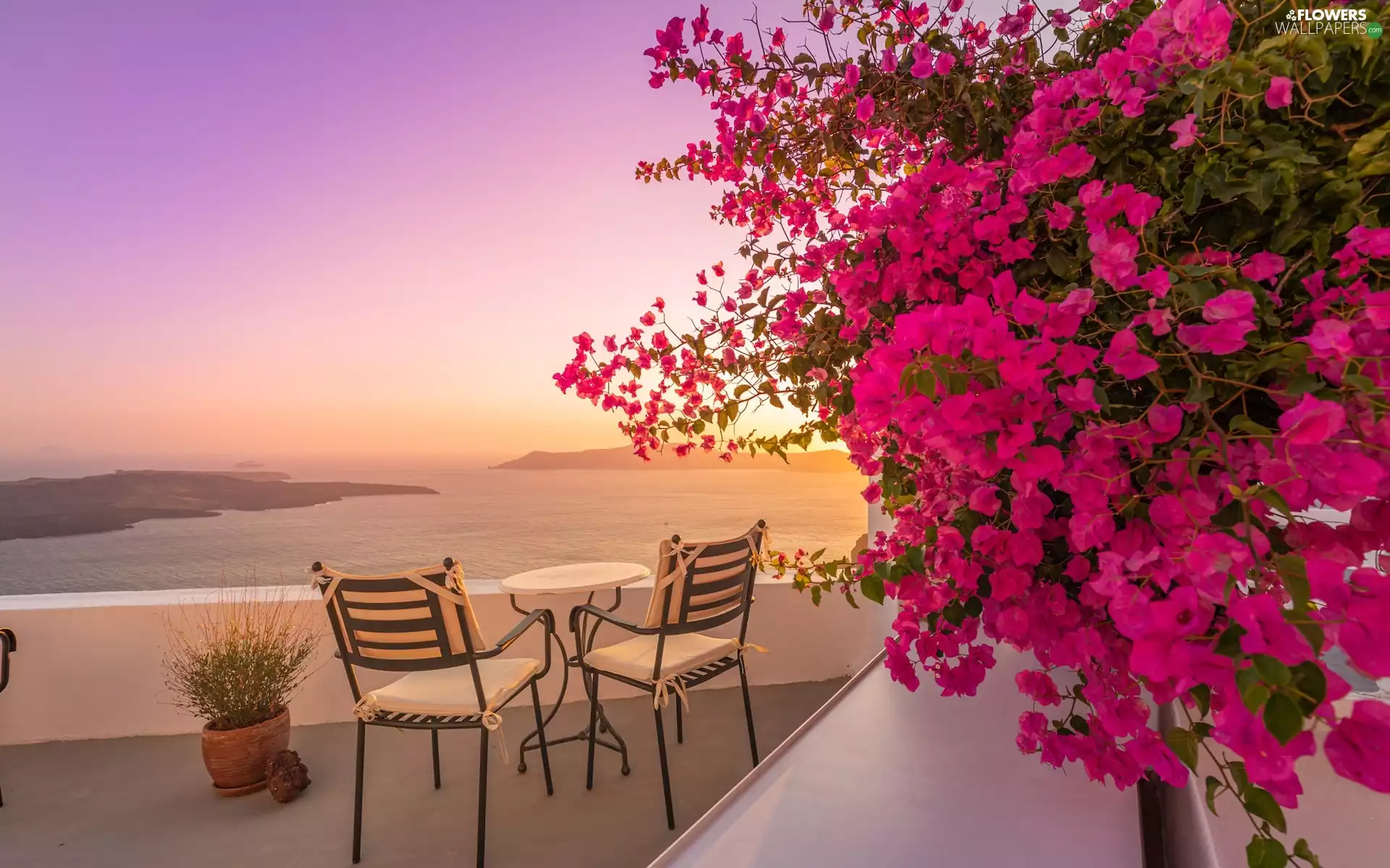 terrace, Greece, Flowers, Bougainvillea, Stool, santorini