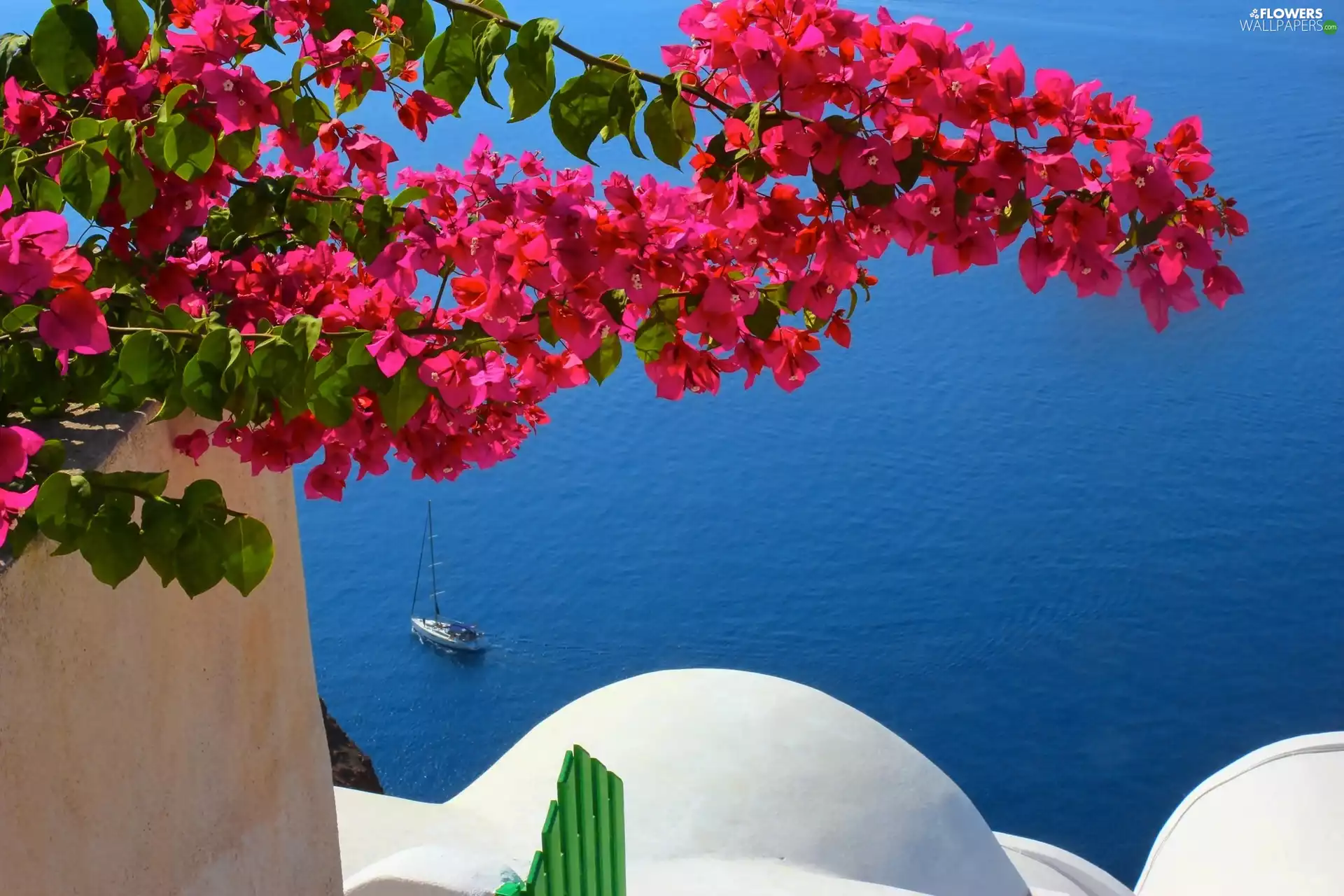 Bougainvillea, Yacht