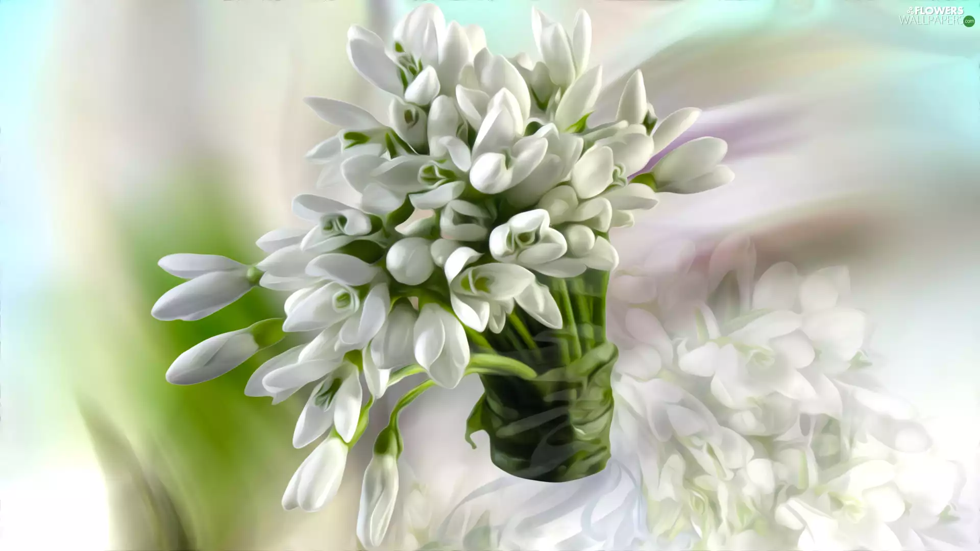 Flowers, bouquet, 2D Graphics, snowdrops