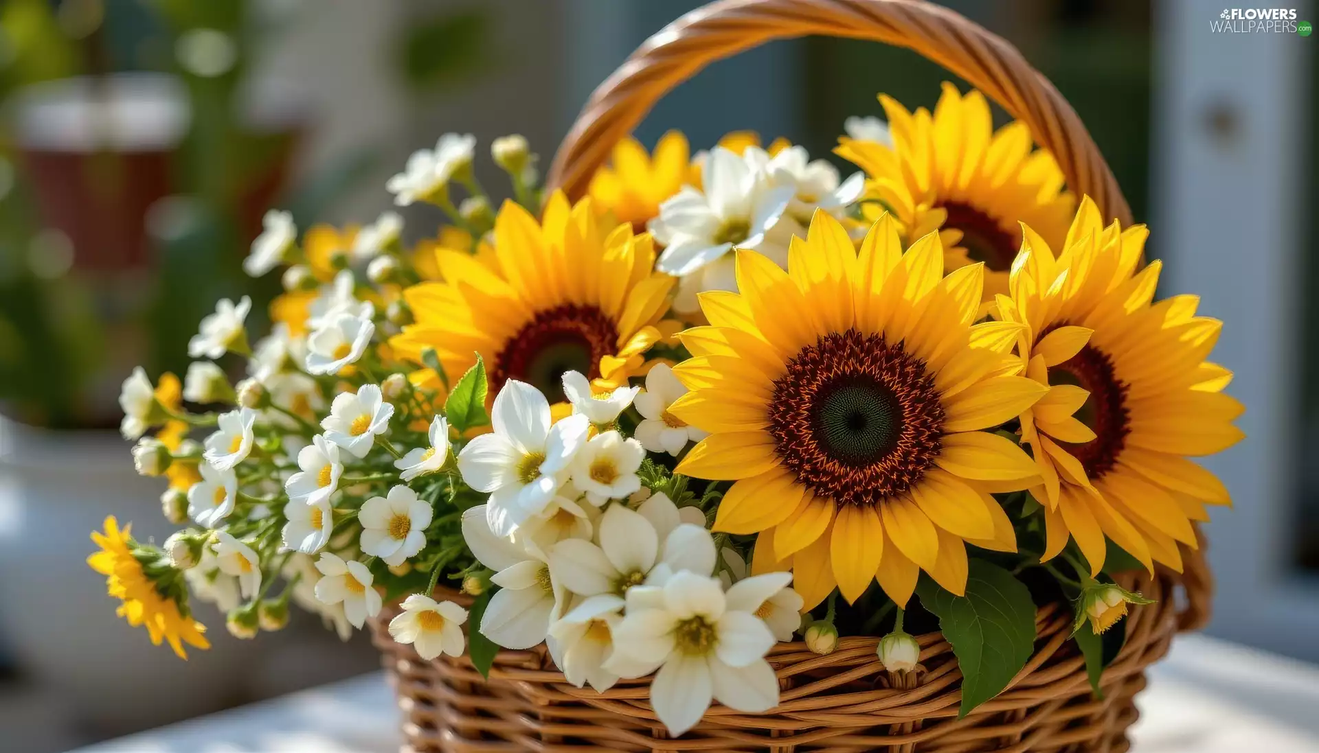 Flowers, bouquet, basket, Nice sunflowers