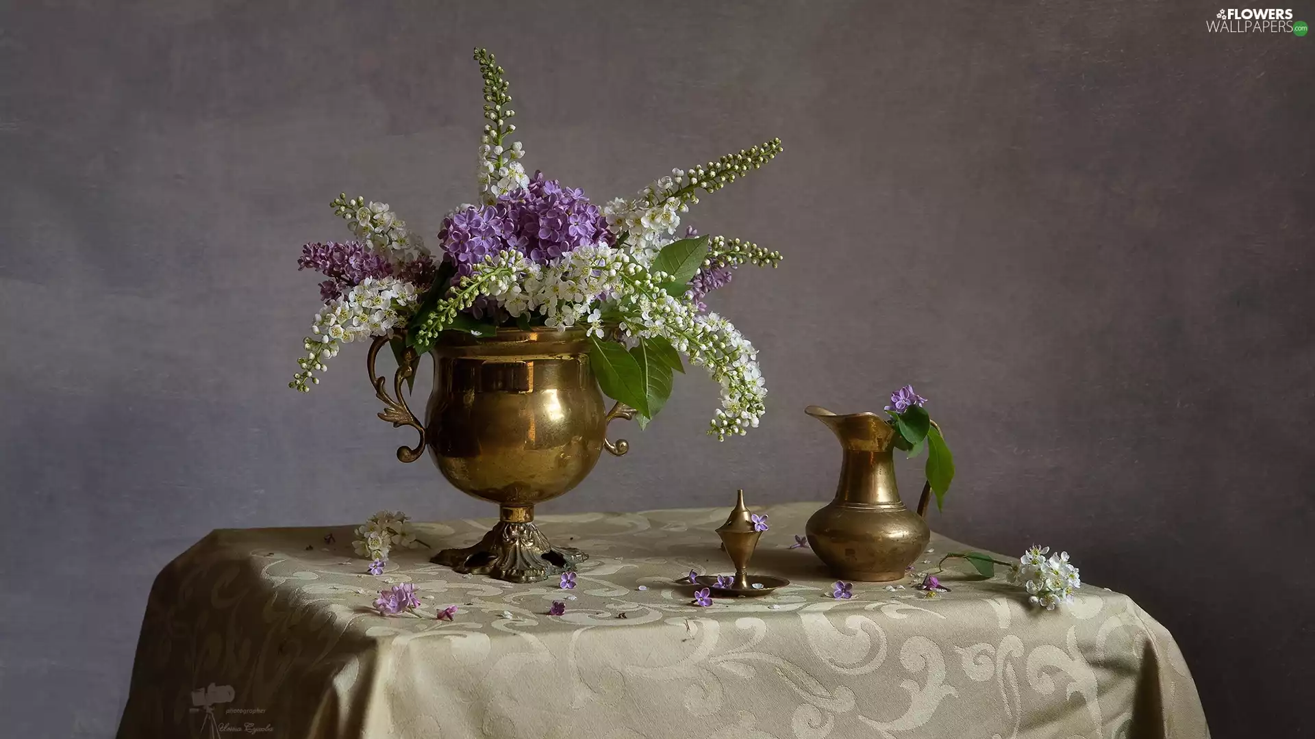 bouquet, Vase, White, Flowers, jug, Table, Violet, without, Bird Cherry