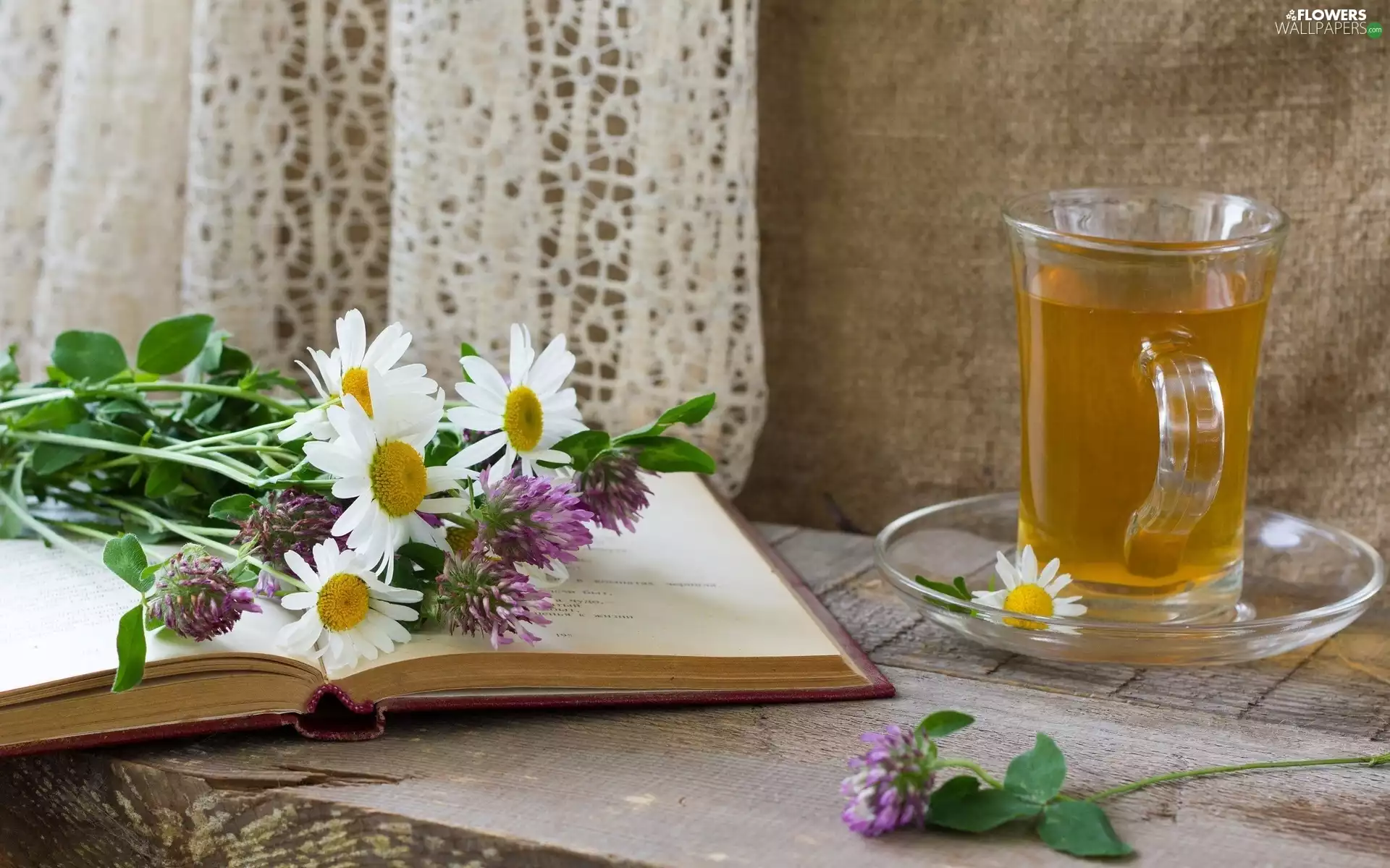 wild, tea, Book, bouquet, cup, flowers, Window