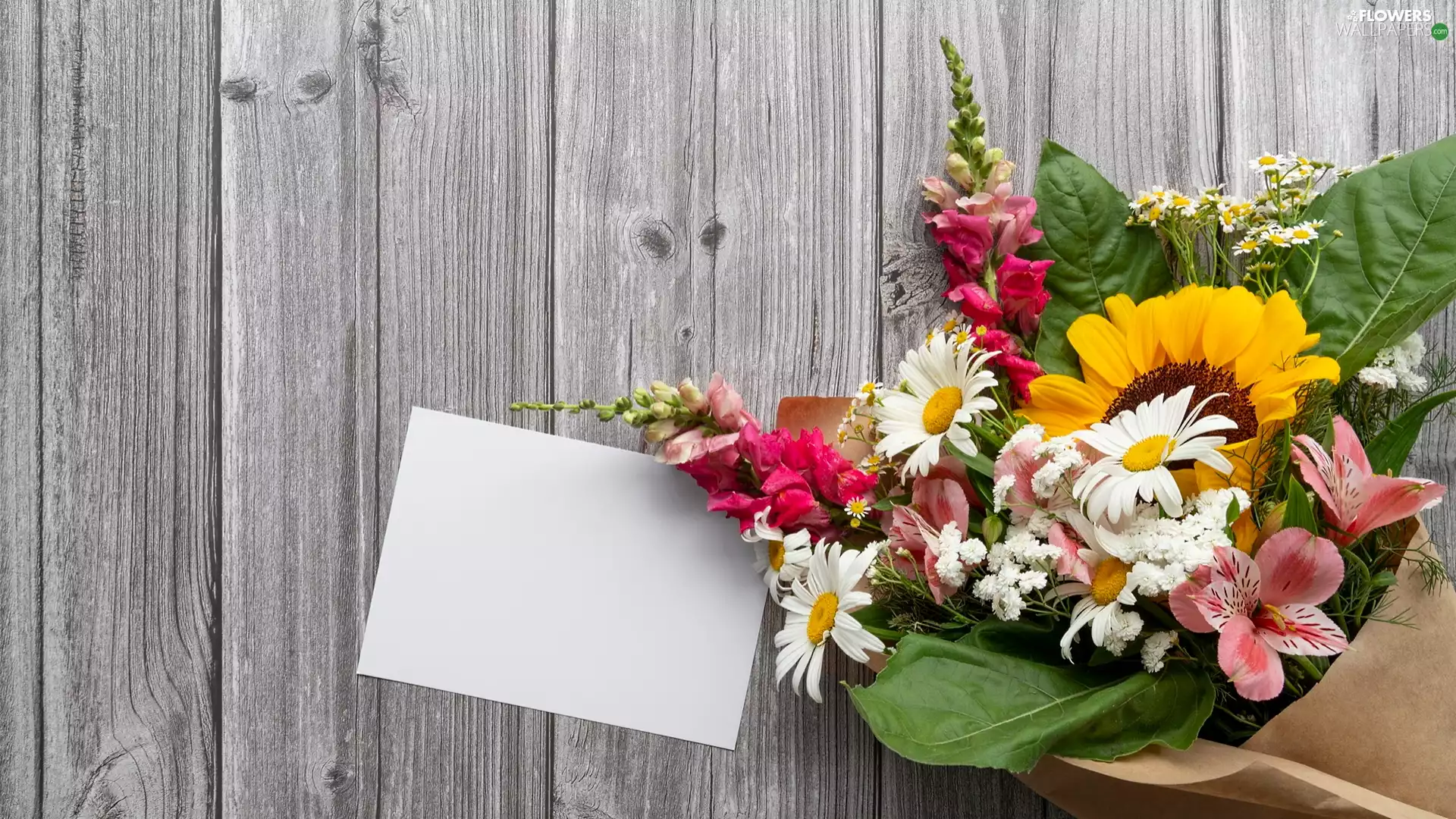 paper, Flowers, card, bouquet, Various, White, boarding