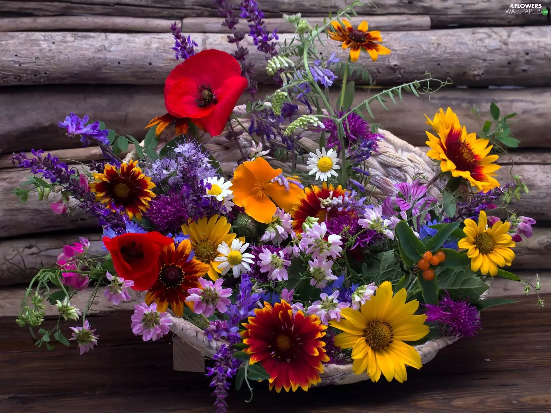 color, flowers, basket, bouquet