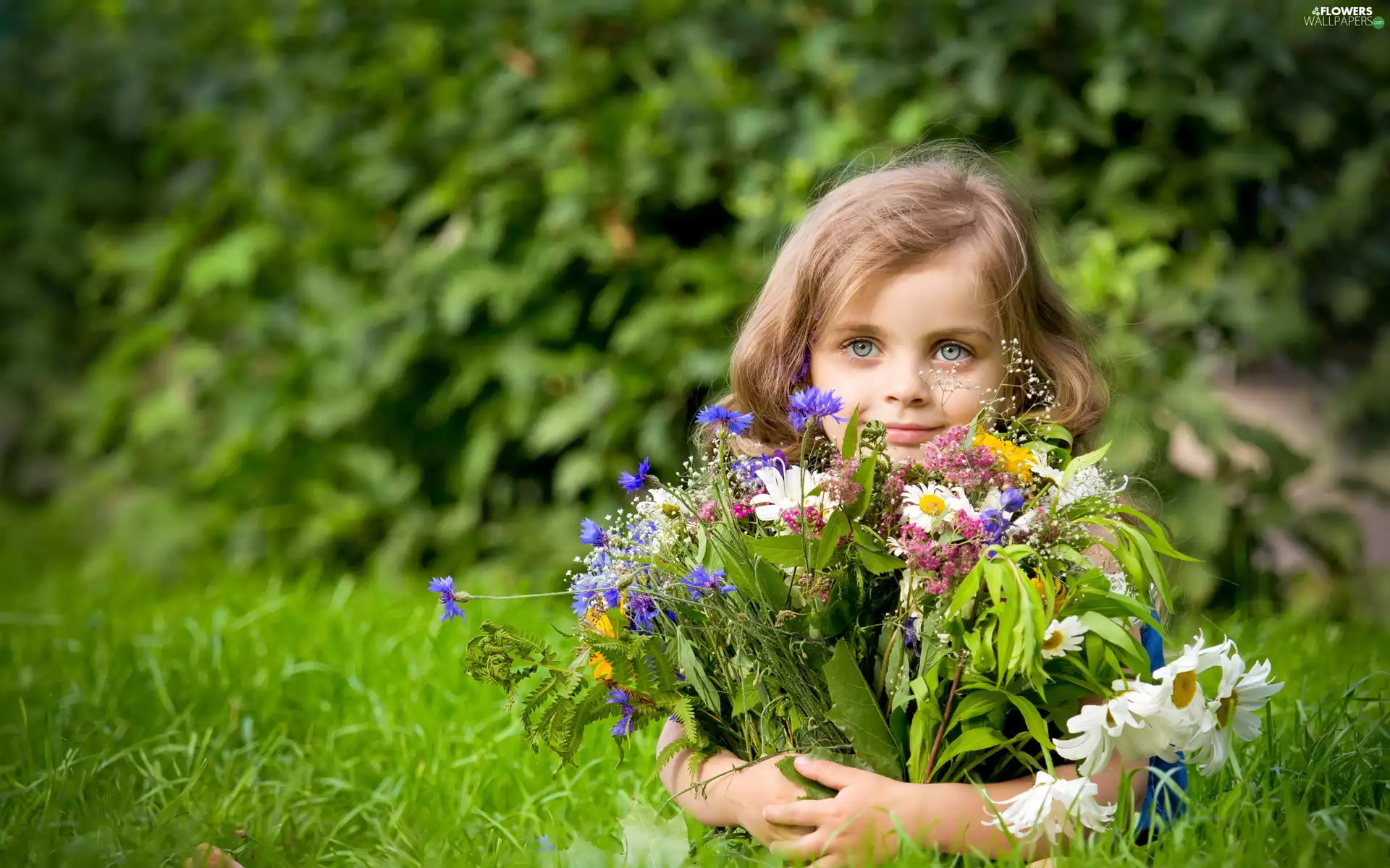 flowers, girl, cornflowers, bouquet, Meadow, wild, daisy