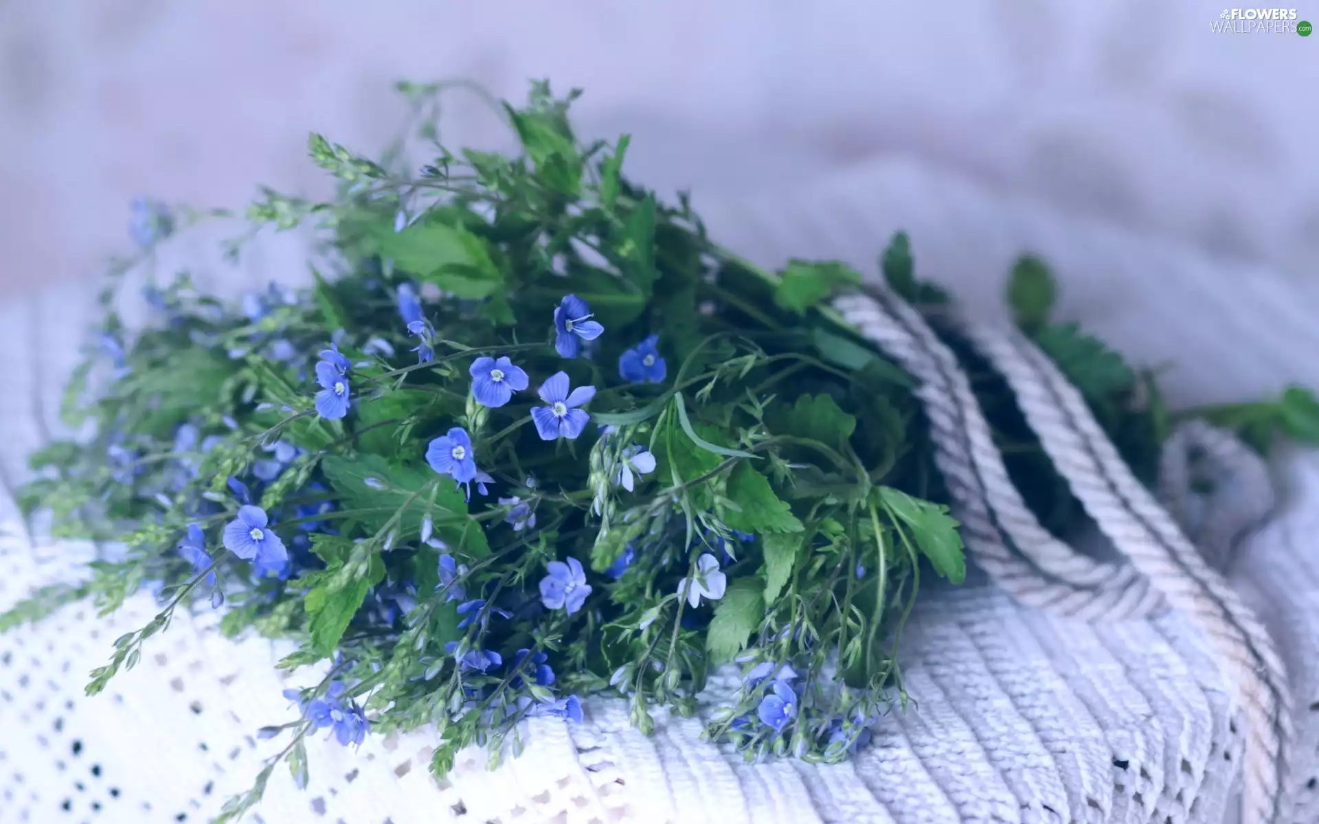 bouquet, Blue, flowers