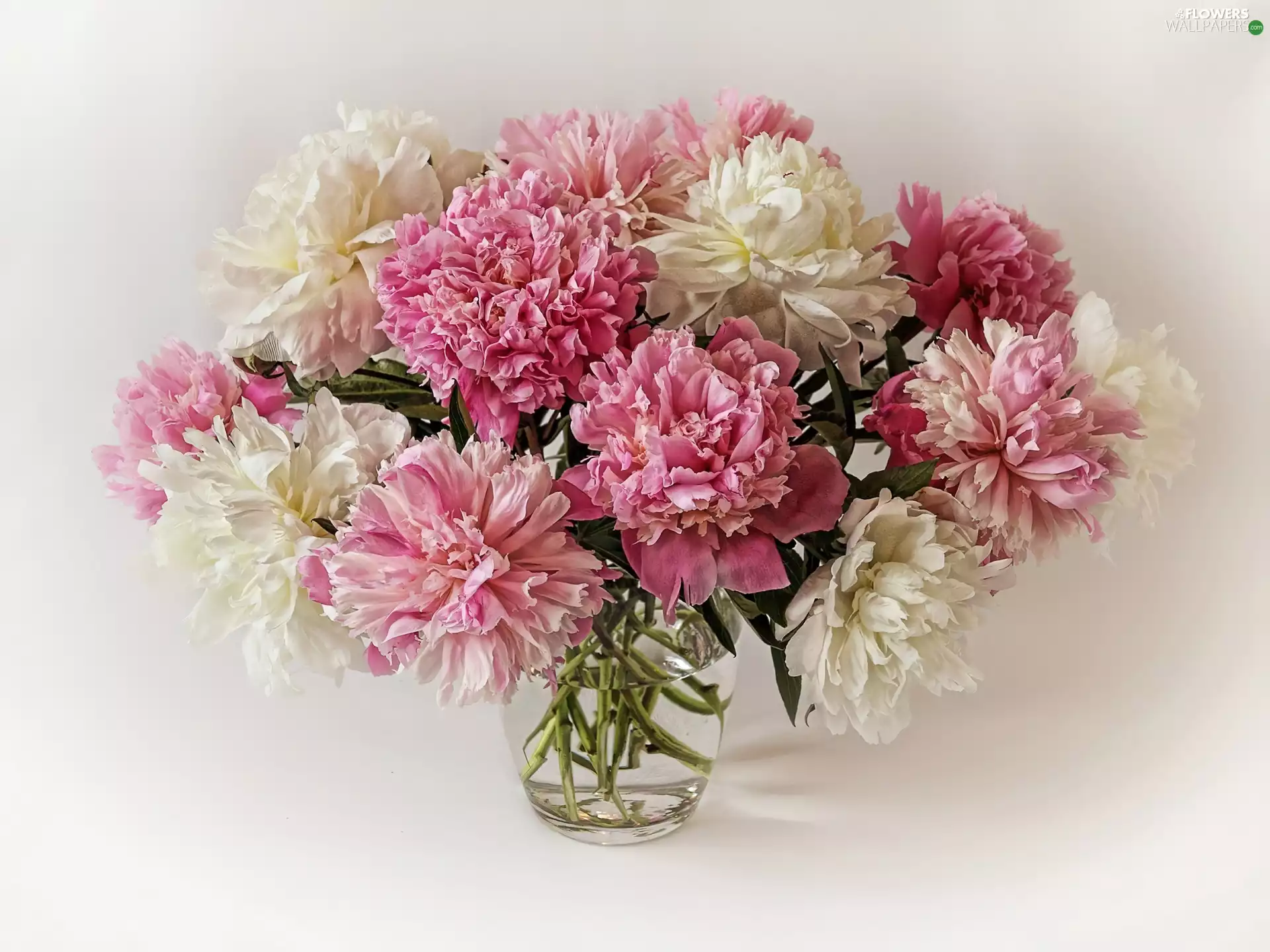Flowers, Peonies, bowl, bouquet