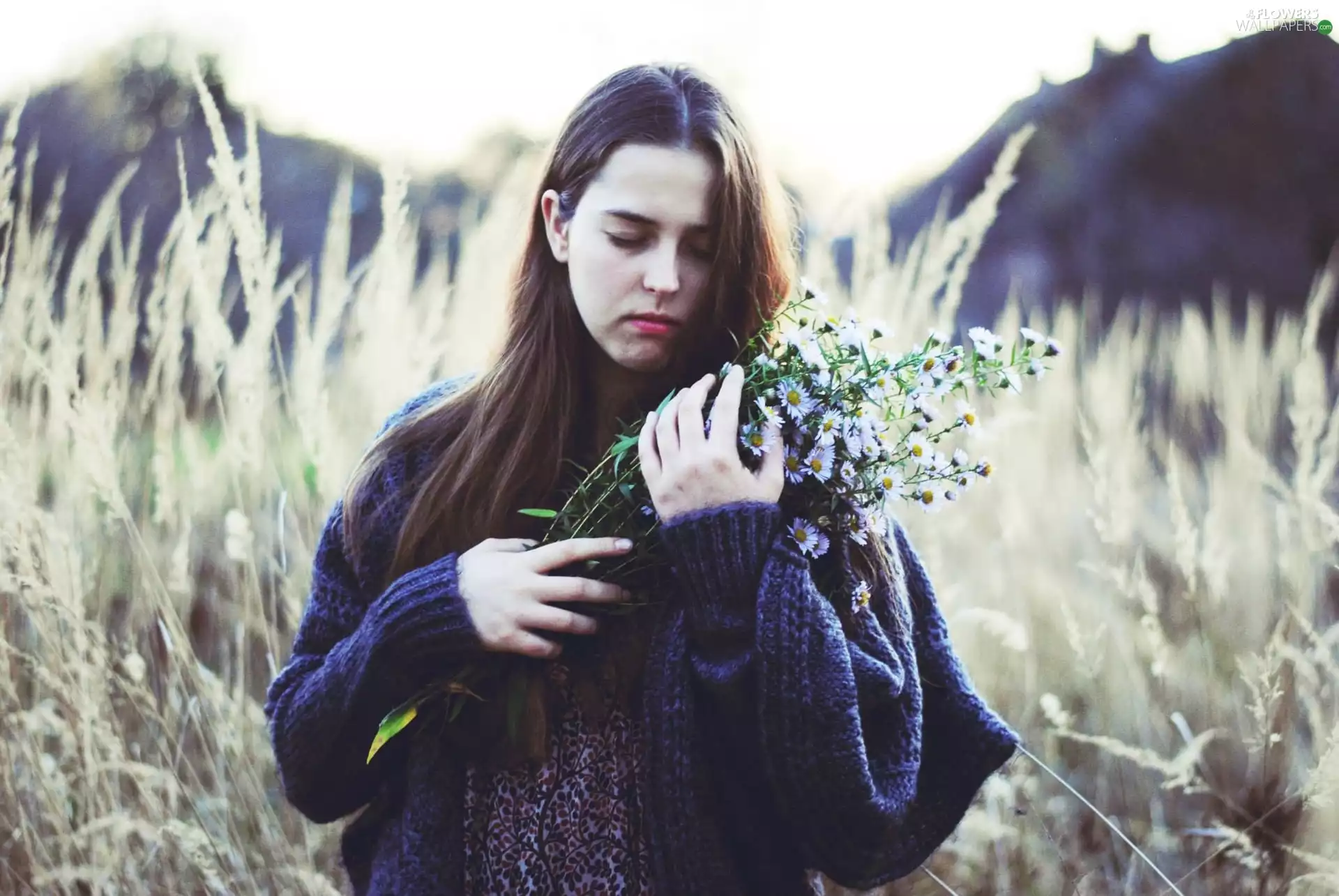 Women, bouquet, flowers, light brown