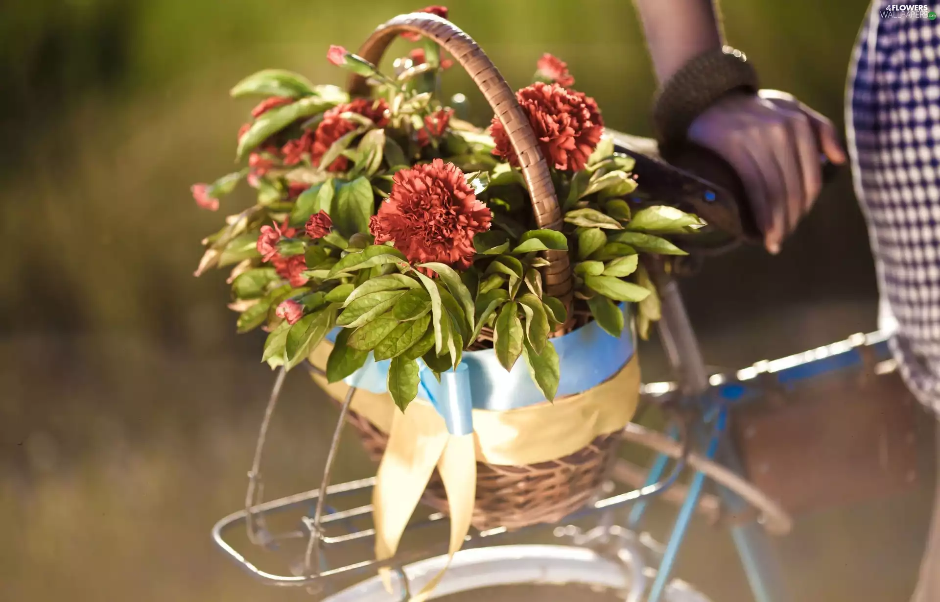 Flowers, basket, Carrier, bouquet