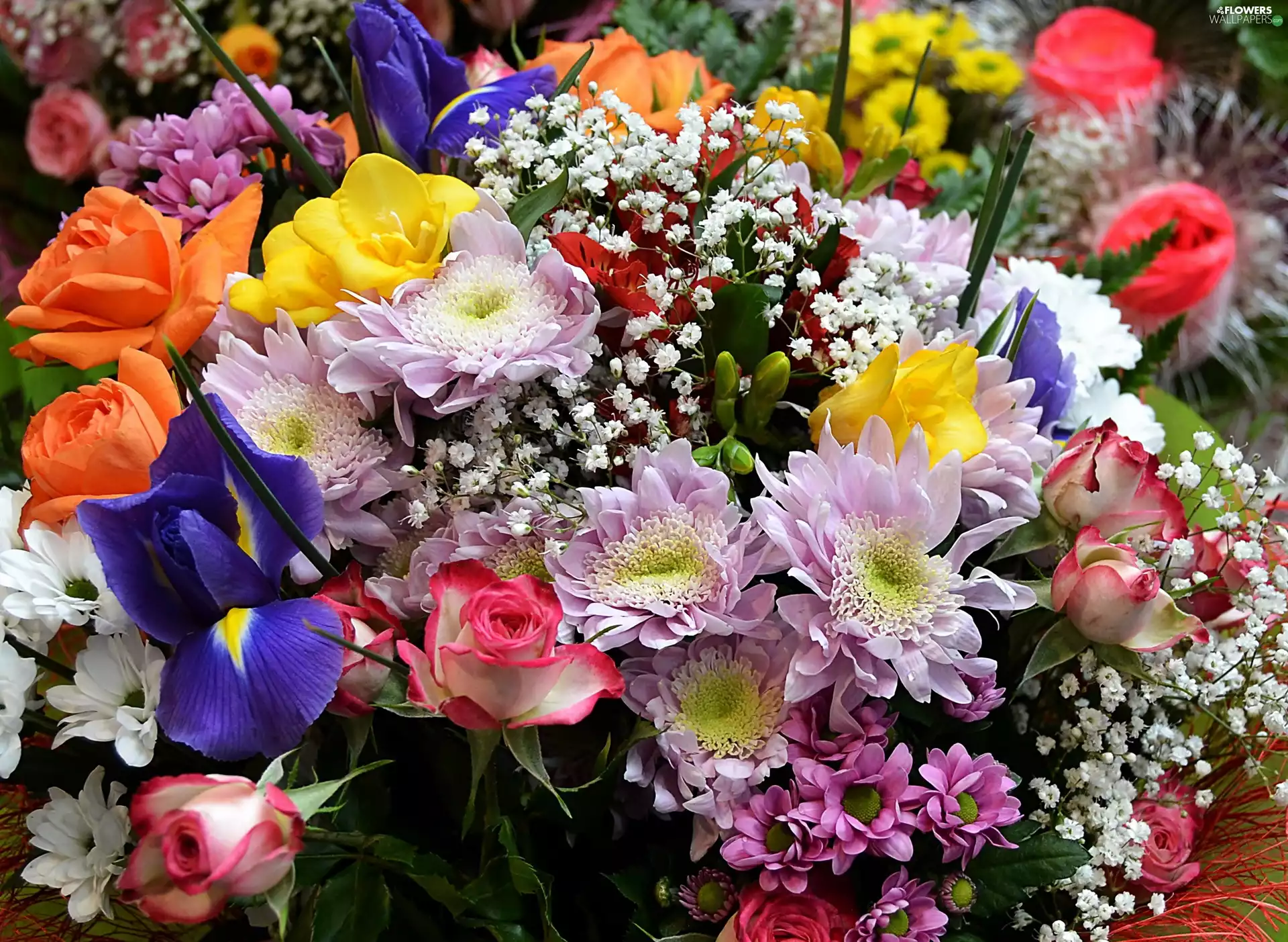 Flowers, flourishing, color, bouquet