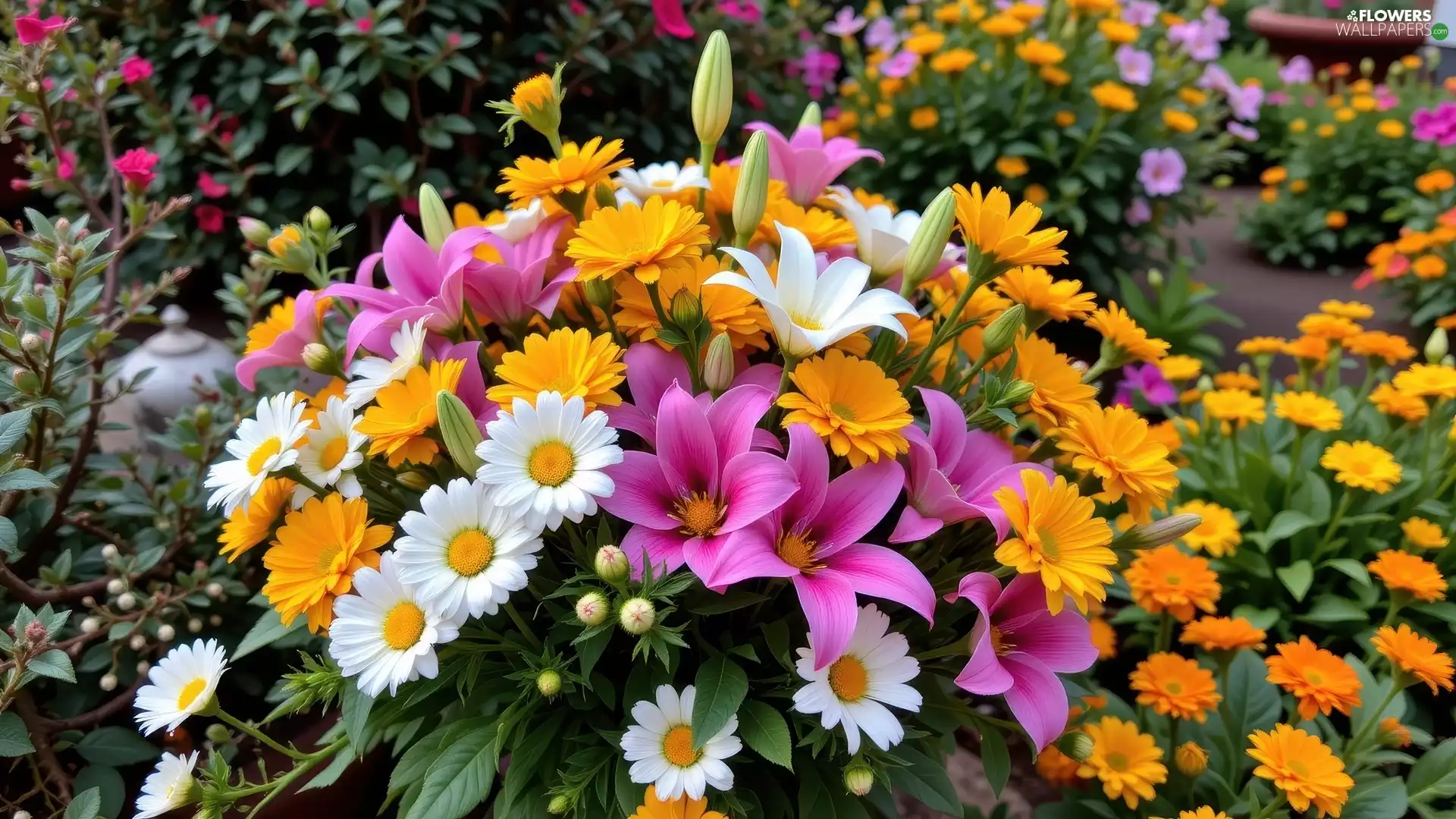 daisy, bouquet, Flowers, lilies, color
