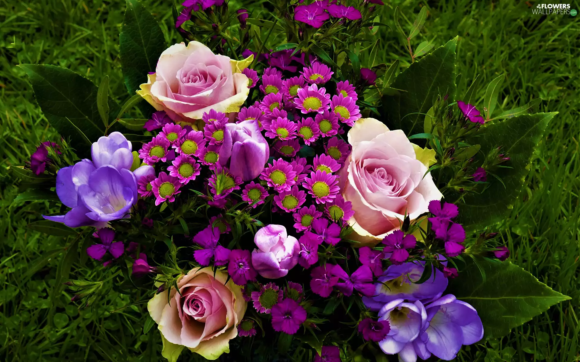 Flowers, Colorful, flowers, bouquet