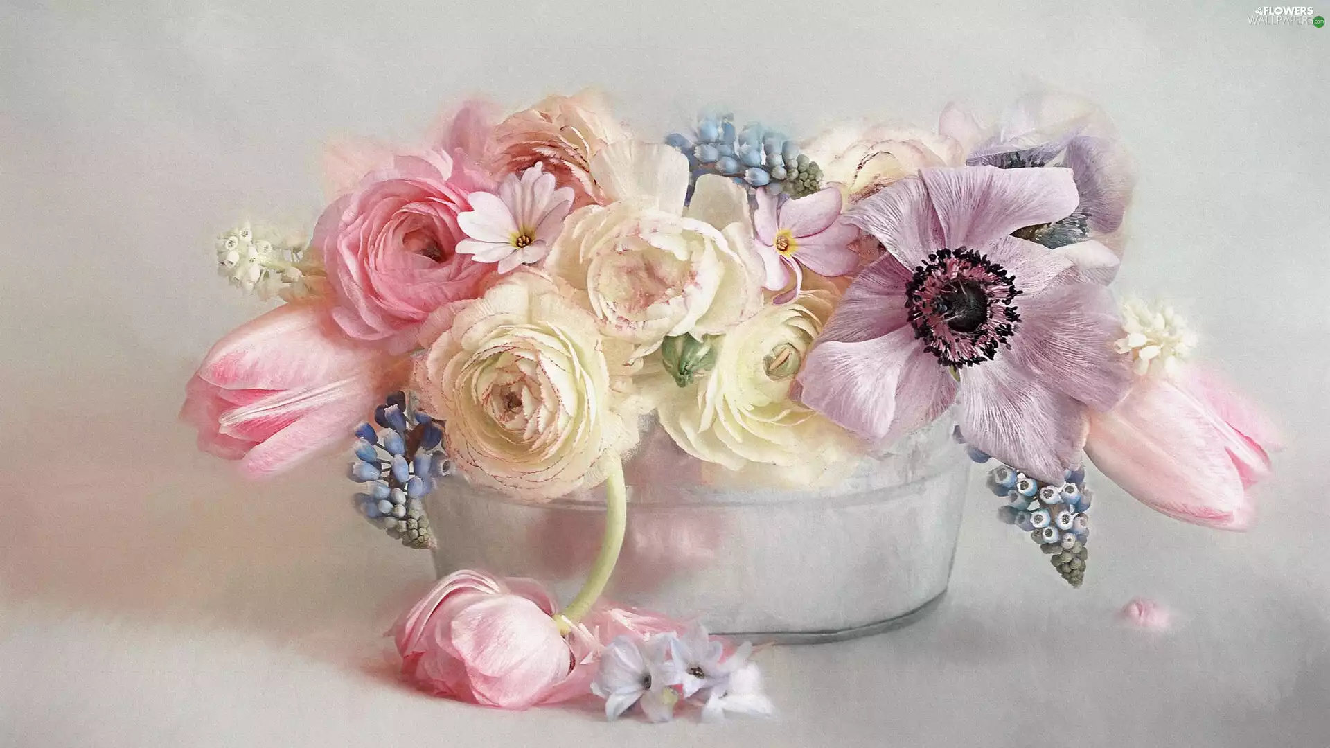 Flowers, anemone, graphics, bouquet