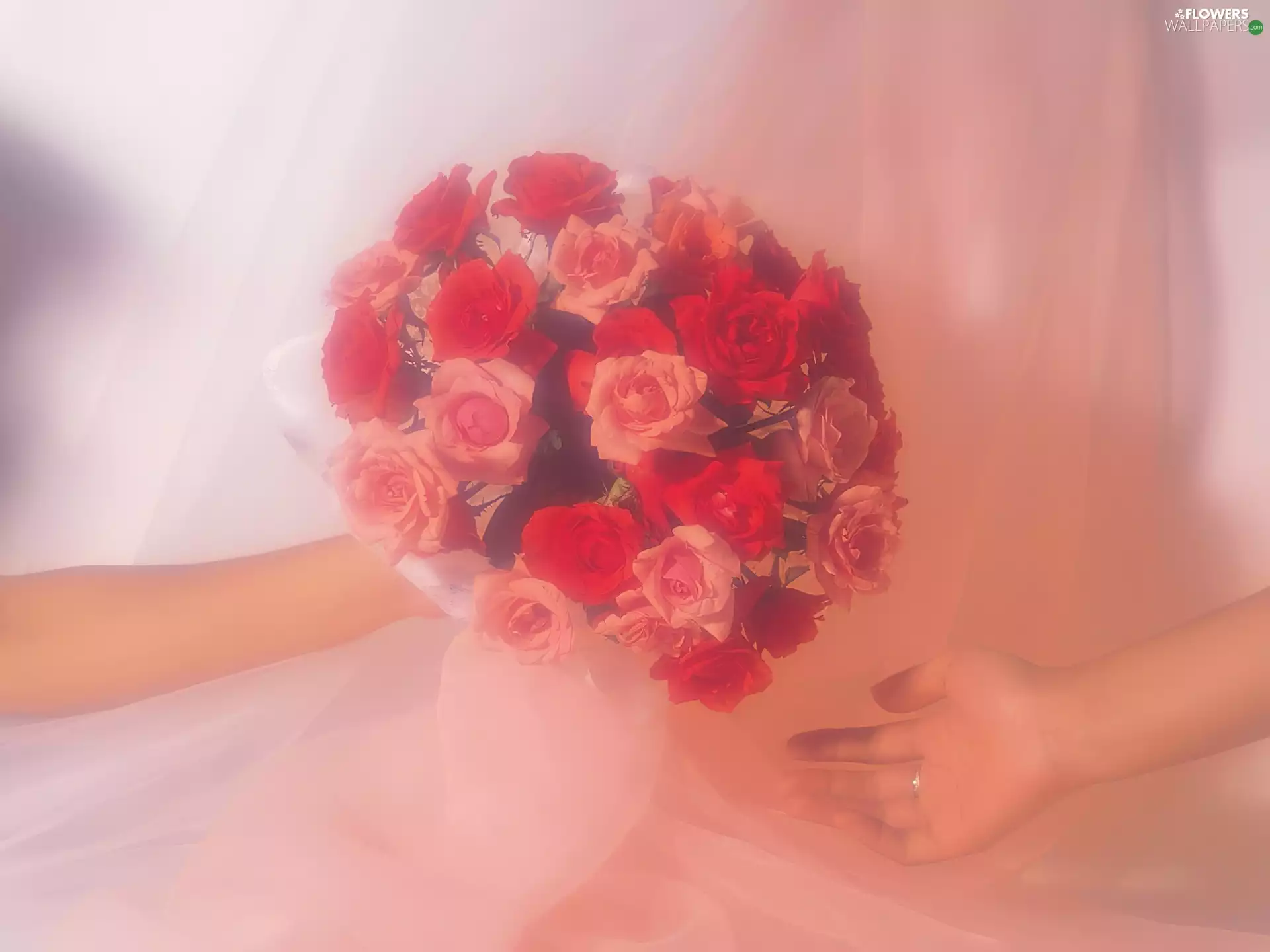 Flowers, roses, hands, bouquet