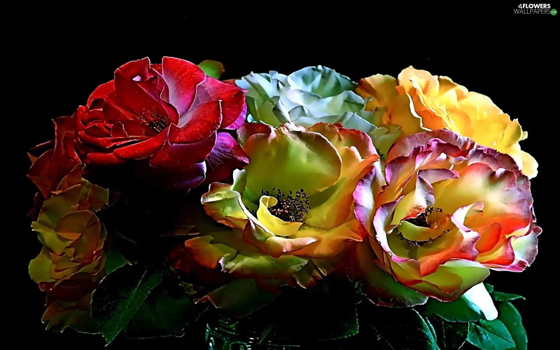 bouquet, Multicolor, Flowers