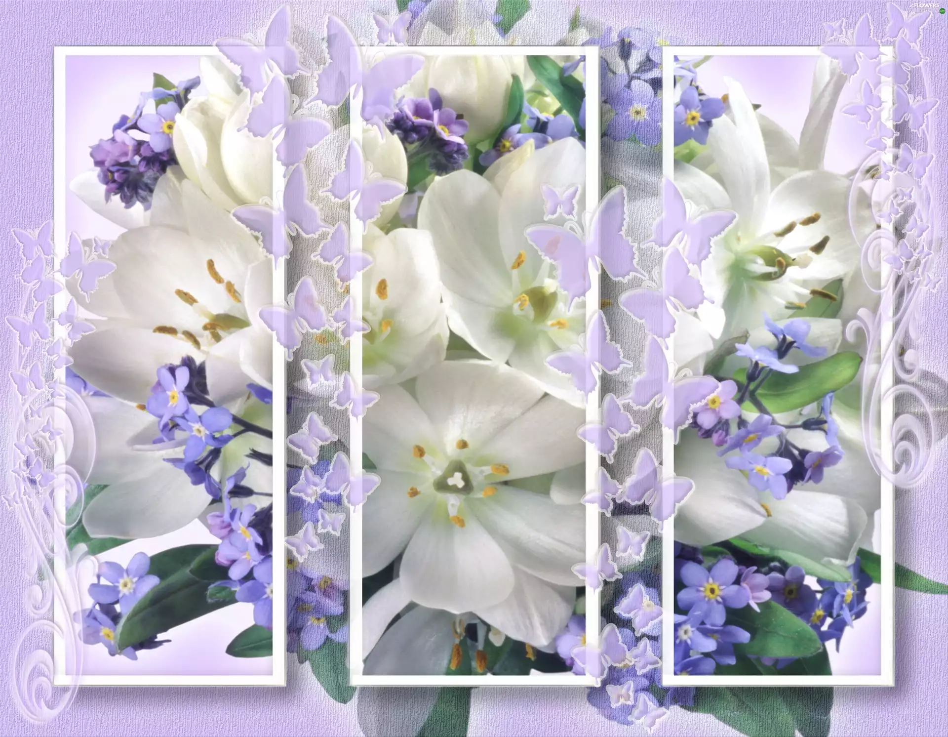 bouquet, pictures, Flowers