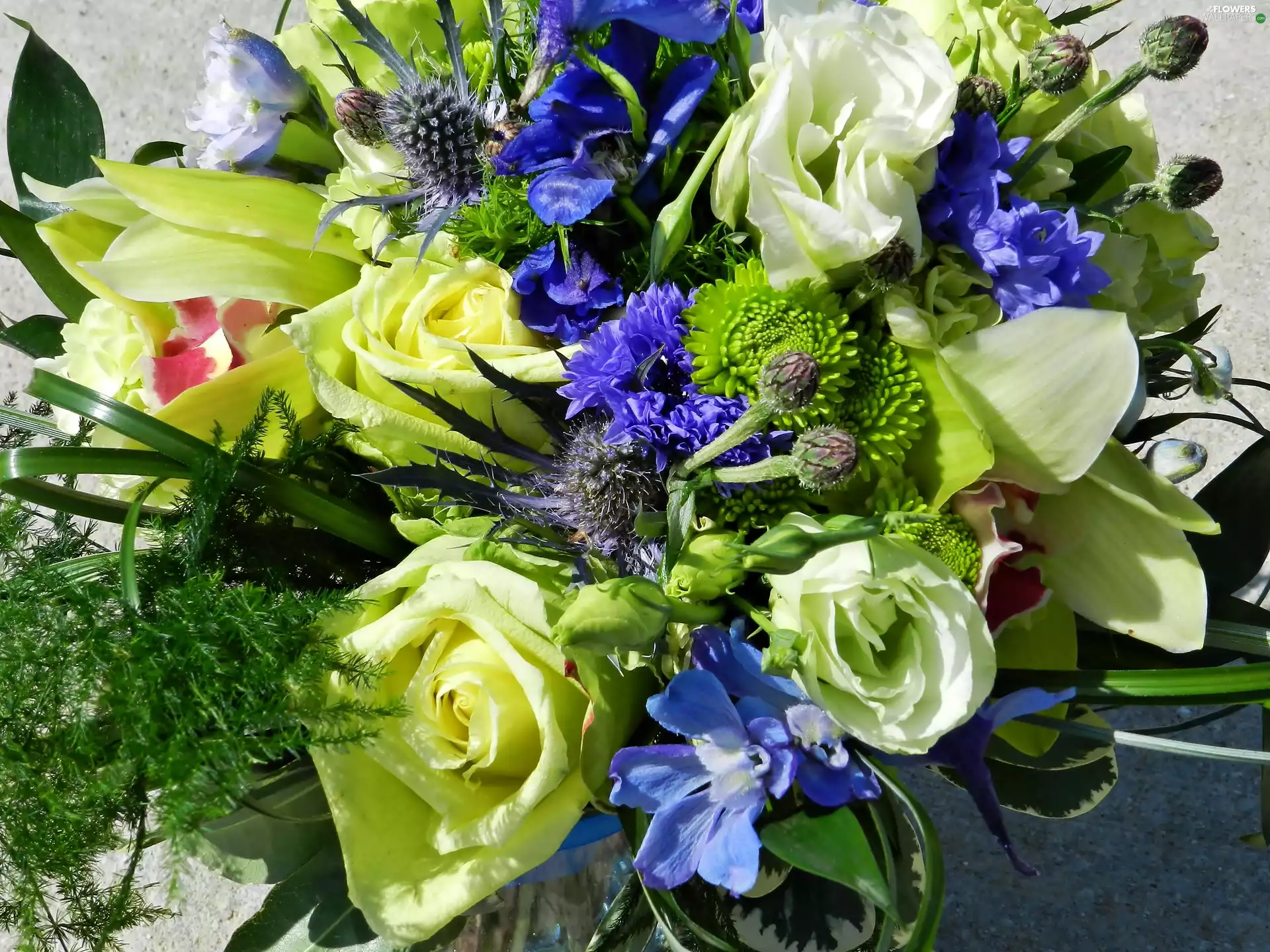 Flowers, Eustoma, roses, bouquet