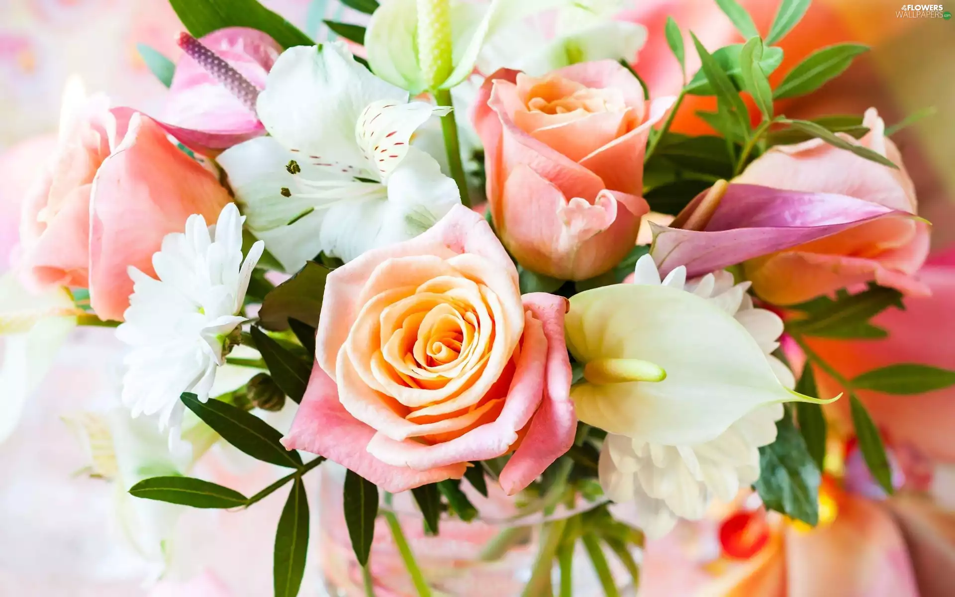 Flowers, Pink, roses, bouquet