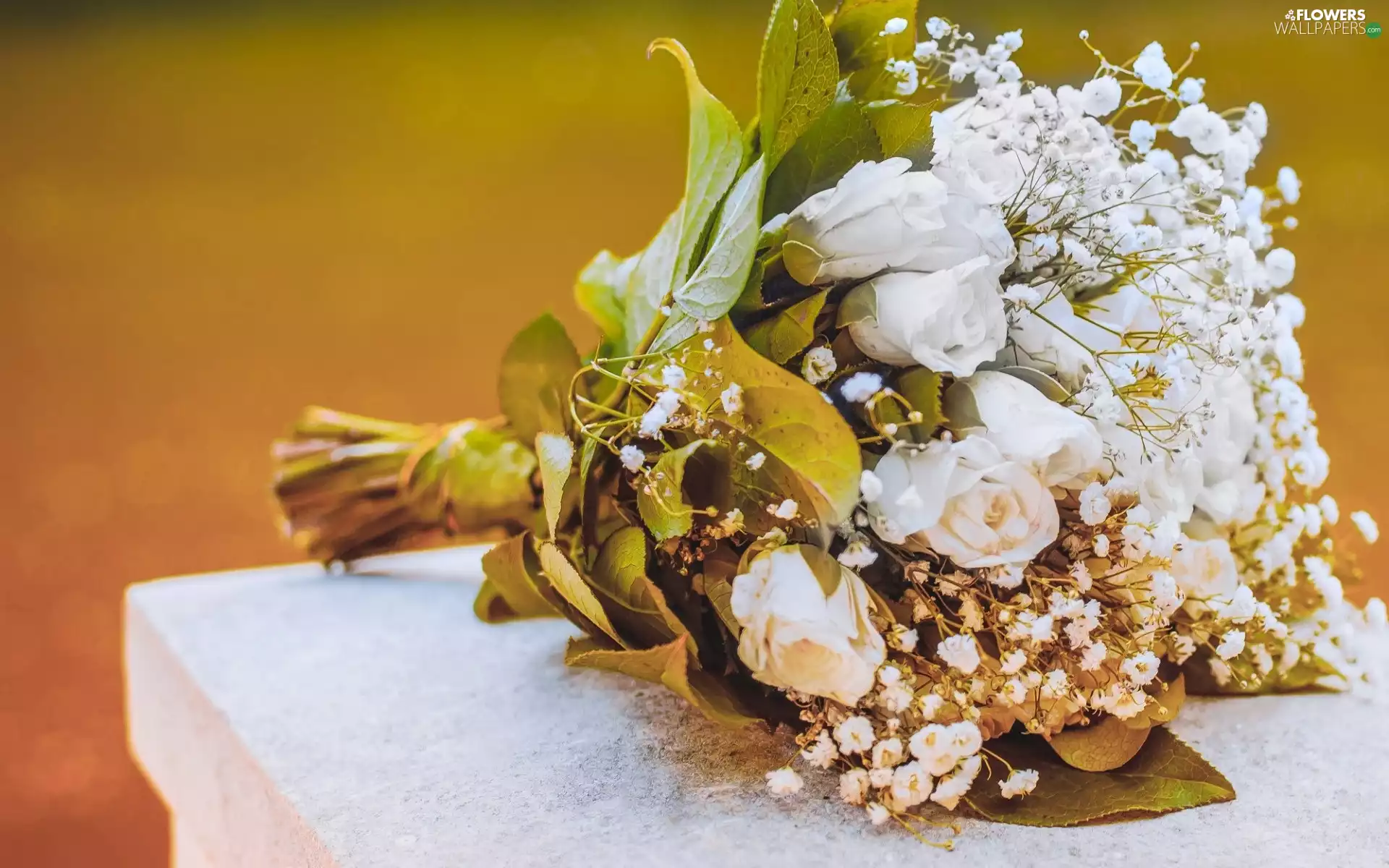 Flowers, White, roses, bouquet