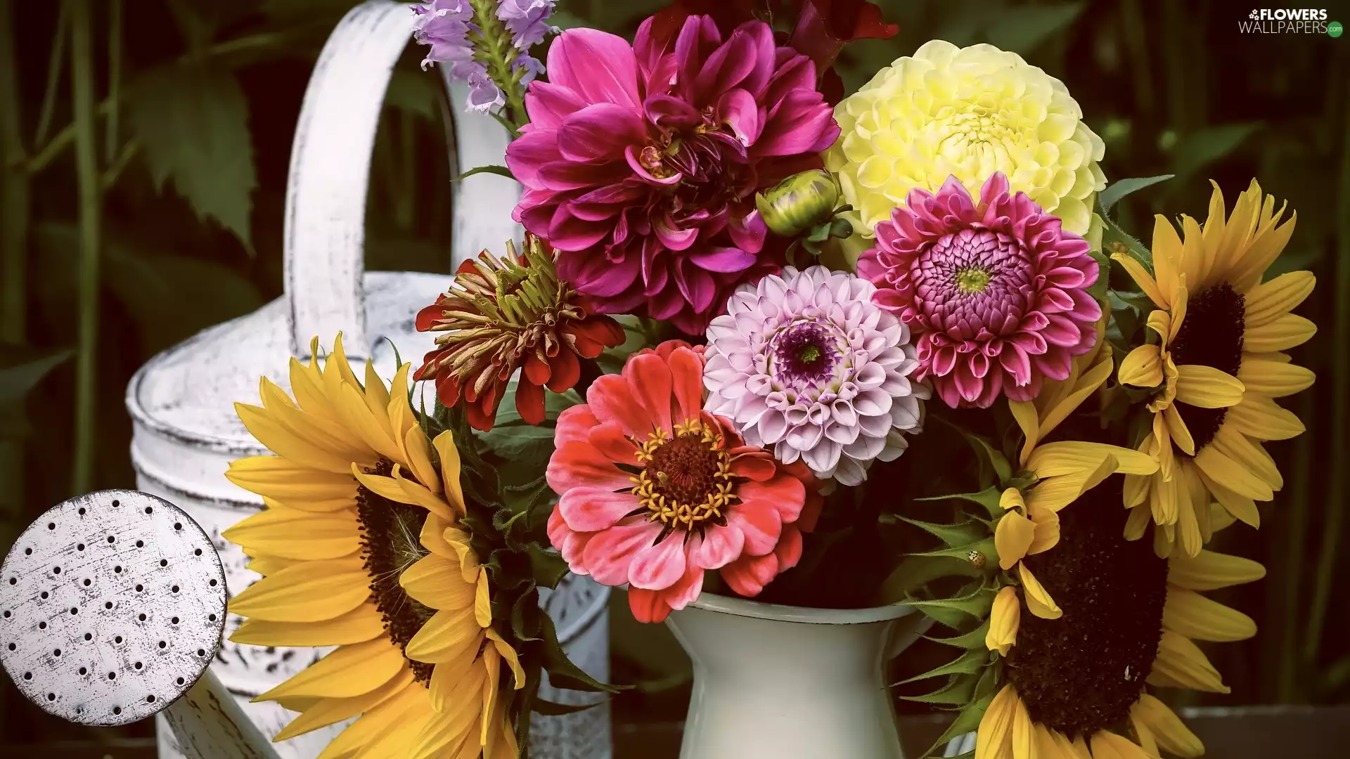 Nice sunflowers, Flowers, jug, watering can, dahlias, bouquet