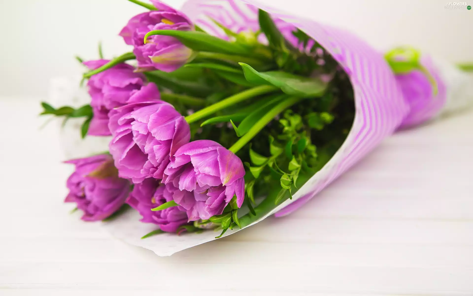 bouquet, Tulips, Flowers
