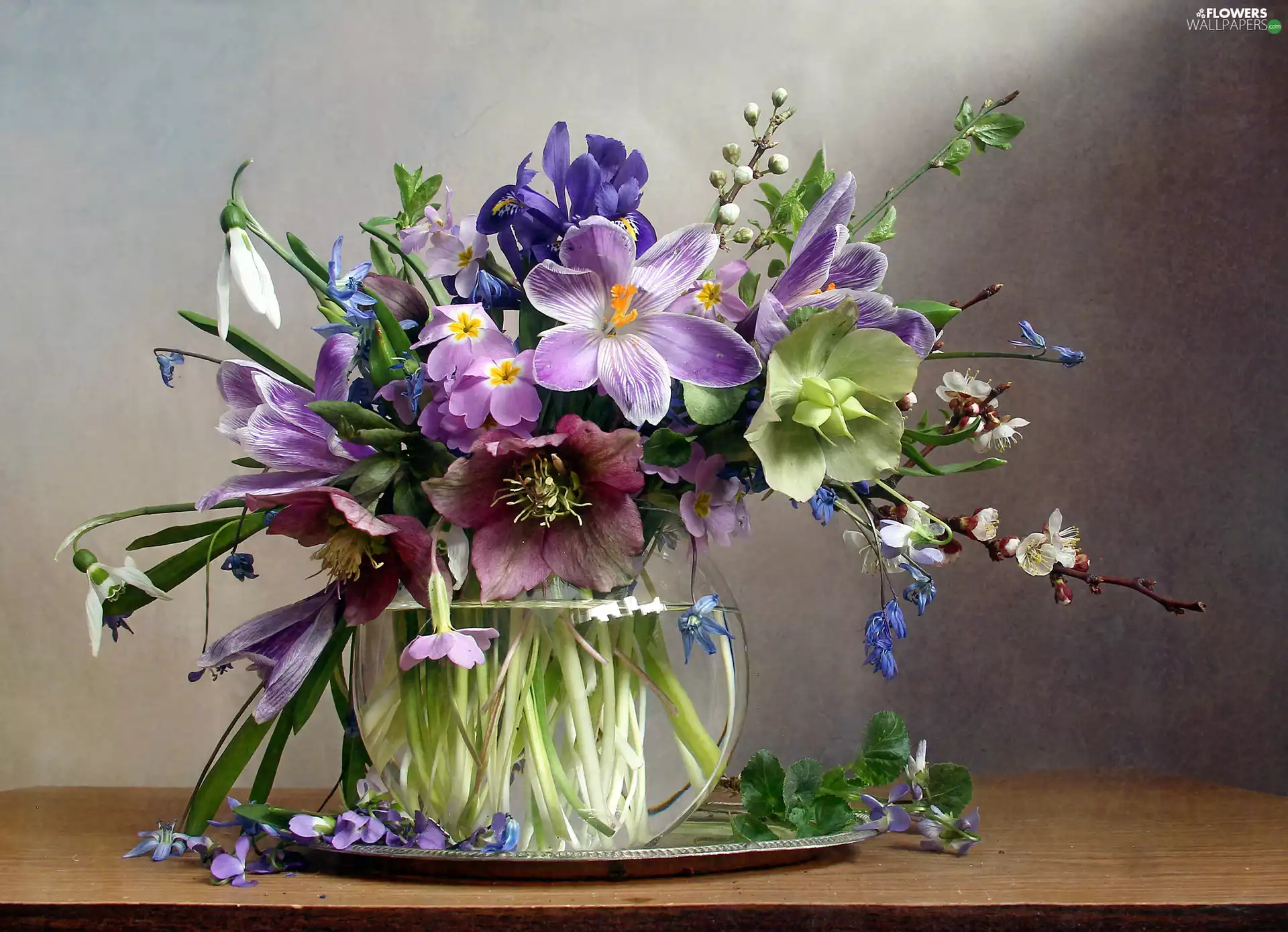 Flowers, glass, Vase, bouquet