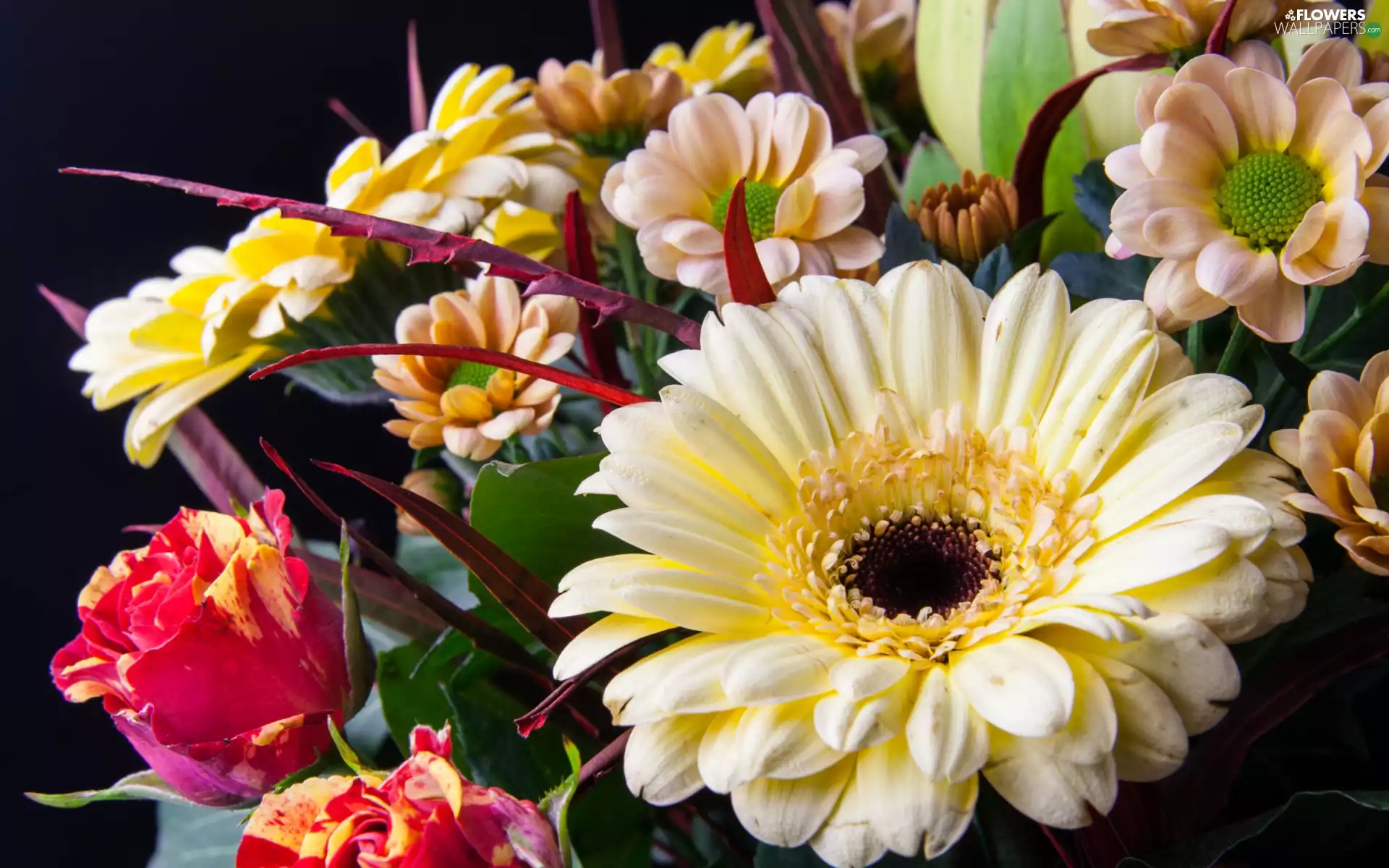 Chrysanthemums, bouquet, gerberas, roses, Flowers