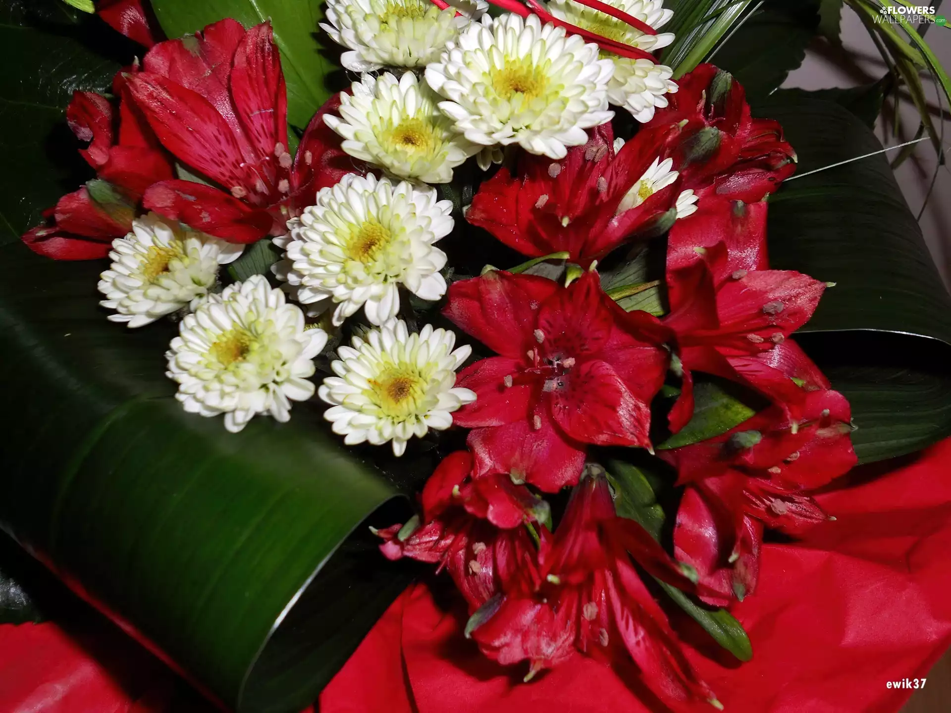 bouquet, Chrysanthemums, lilies